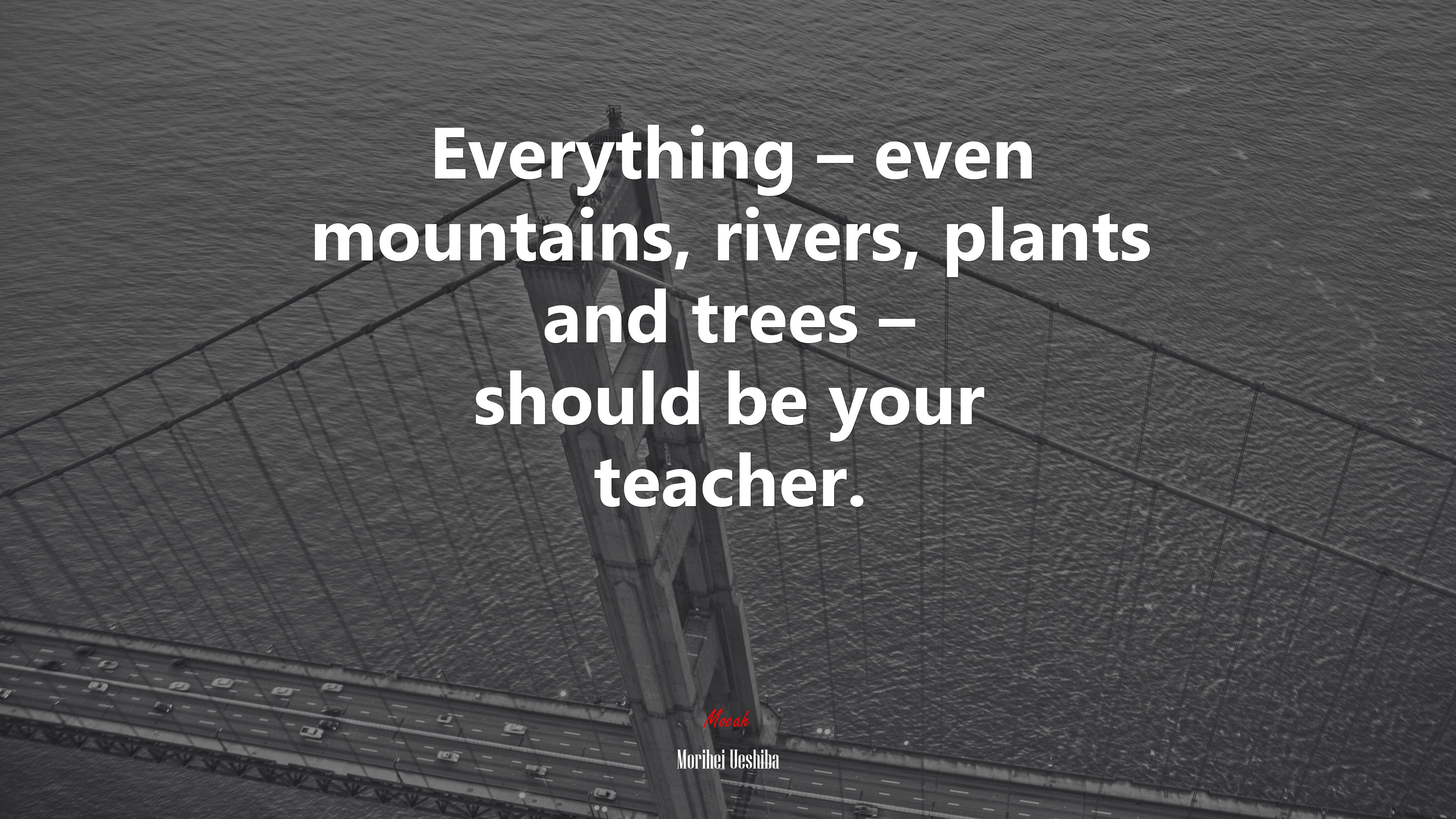 Everything – even mountains, rivers, plants and trees – should be your teacher. | Morihei Ueshiba quote HD Wallpaper
