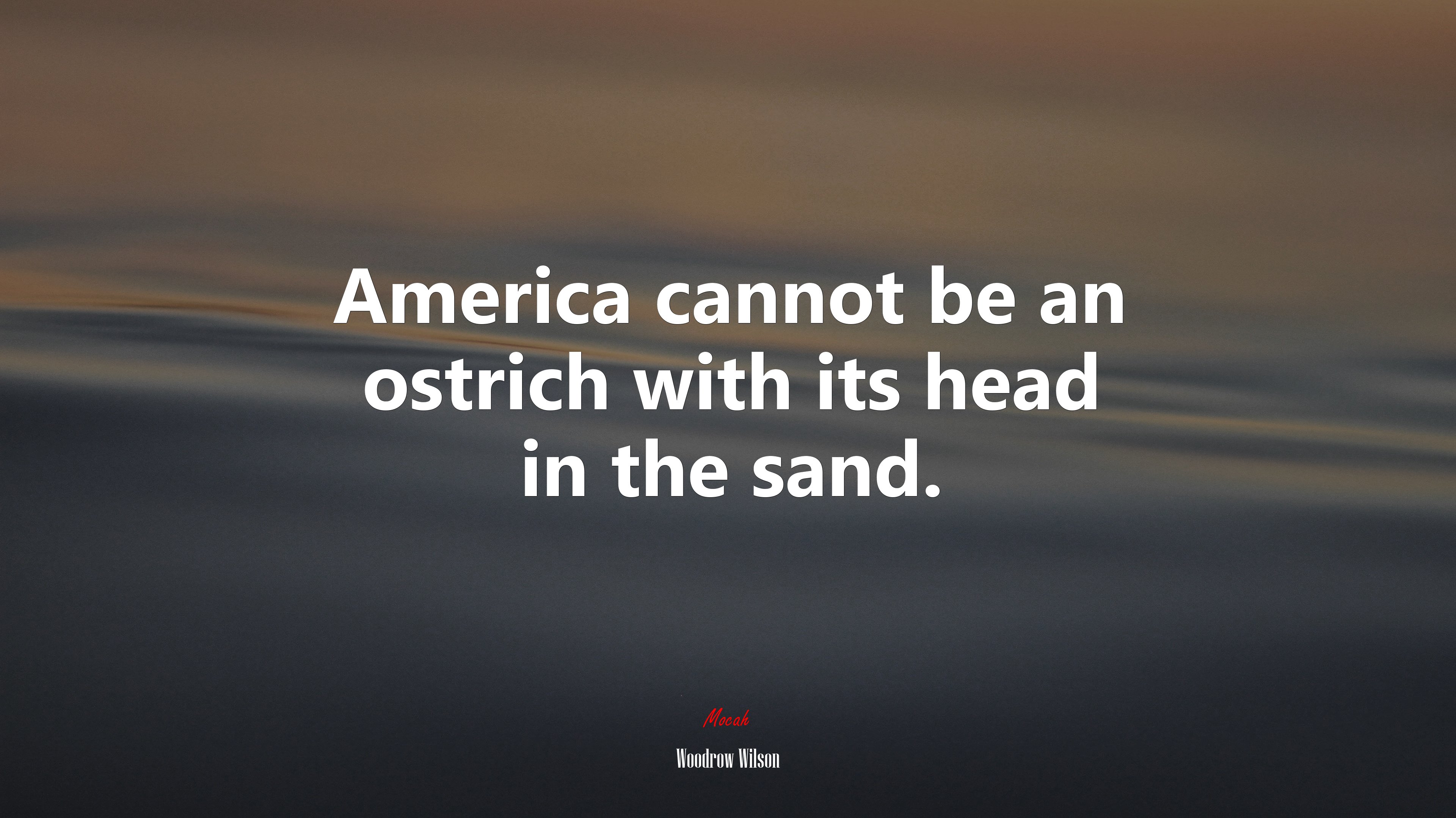 America cannot be an ostrich with its head in the sand. | Woodrow Wilson quote HD Wallpaper