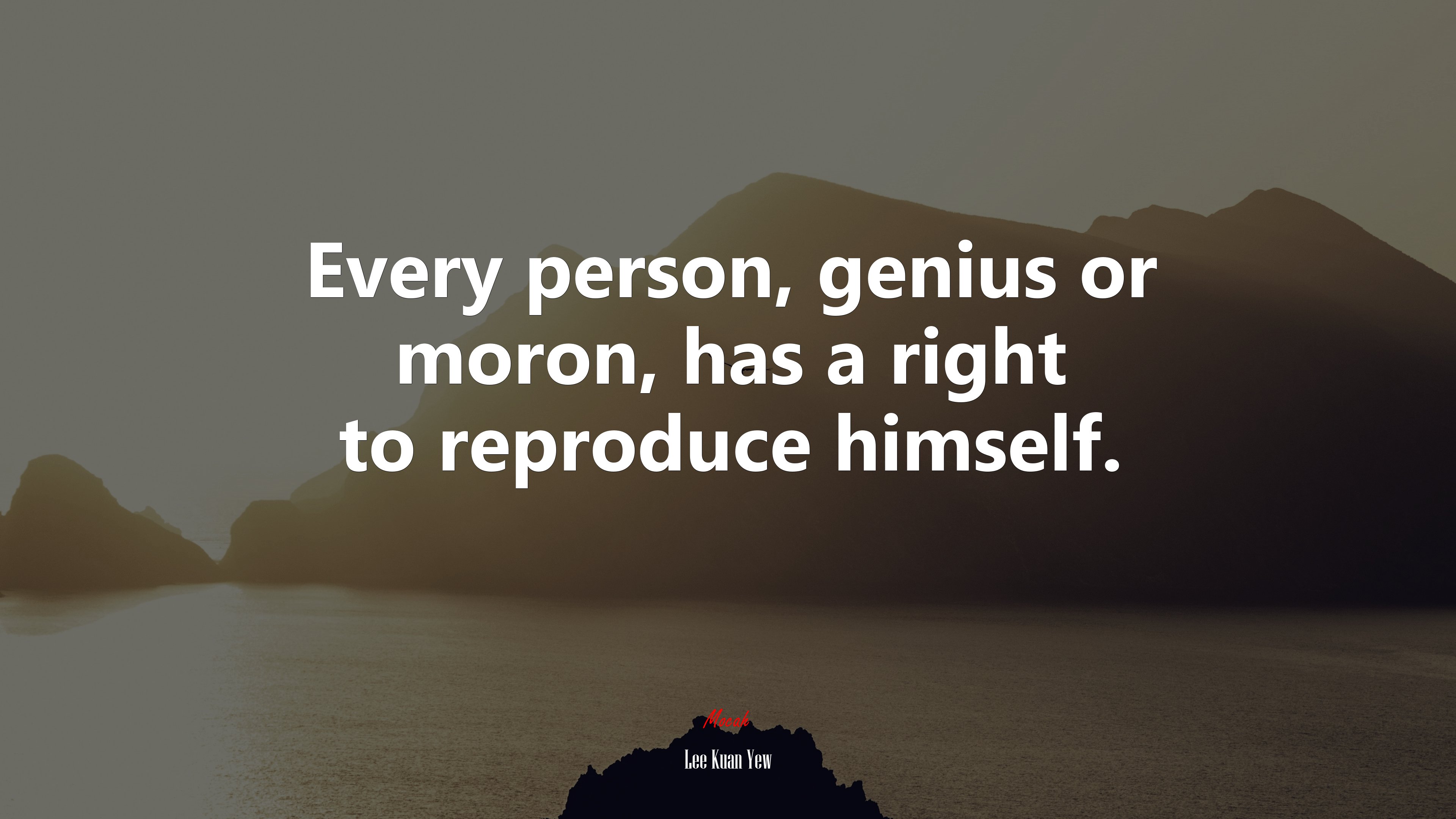 Every person, genius or moron, has a right to reproduce himself. | Lee Kuan Yew quote HD Wallpaper