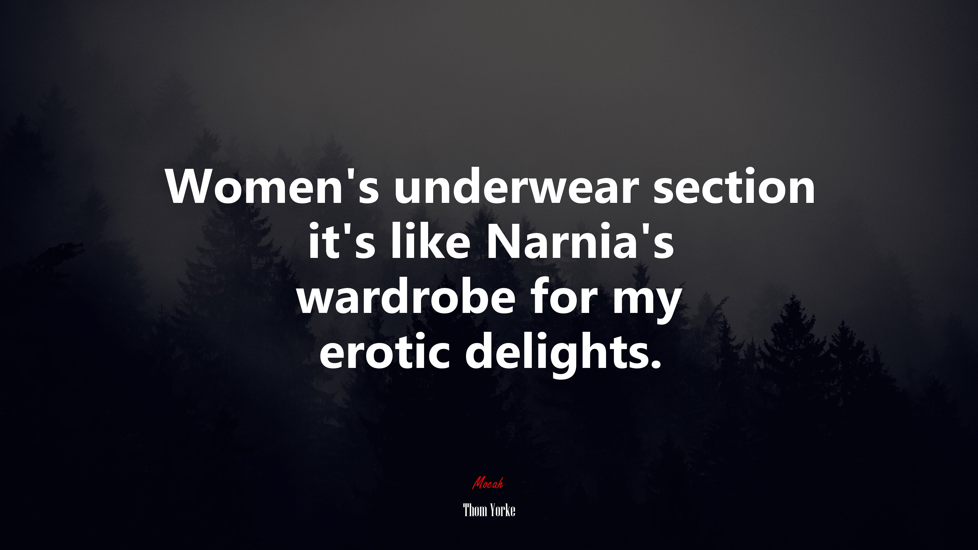 Women’s underwear section it’s like Narnia’s wardrobe for my erotic delights. | Thom Yorke quote HD Wallpaper
