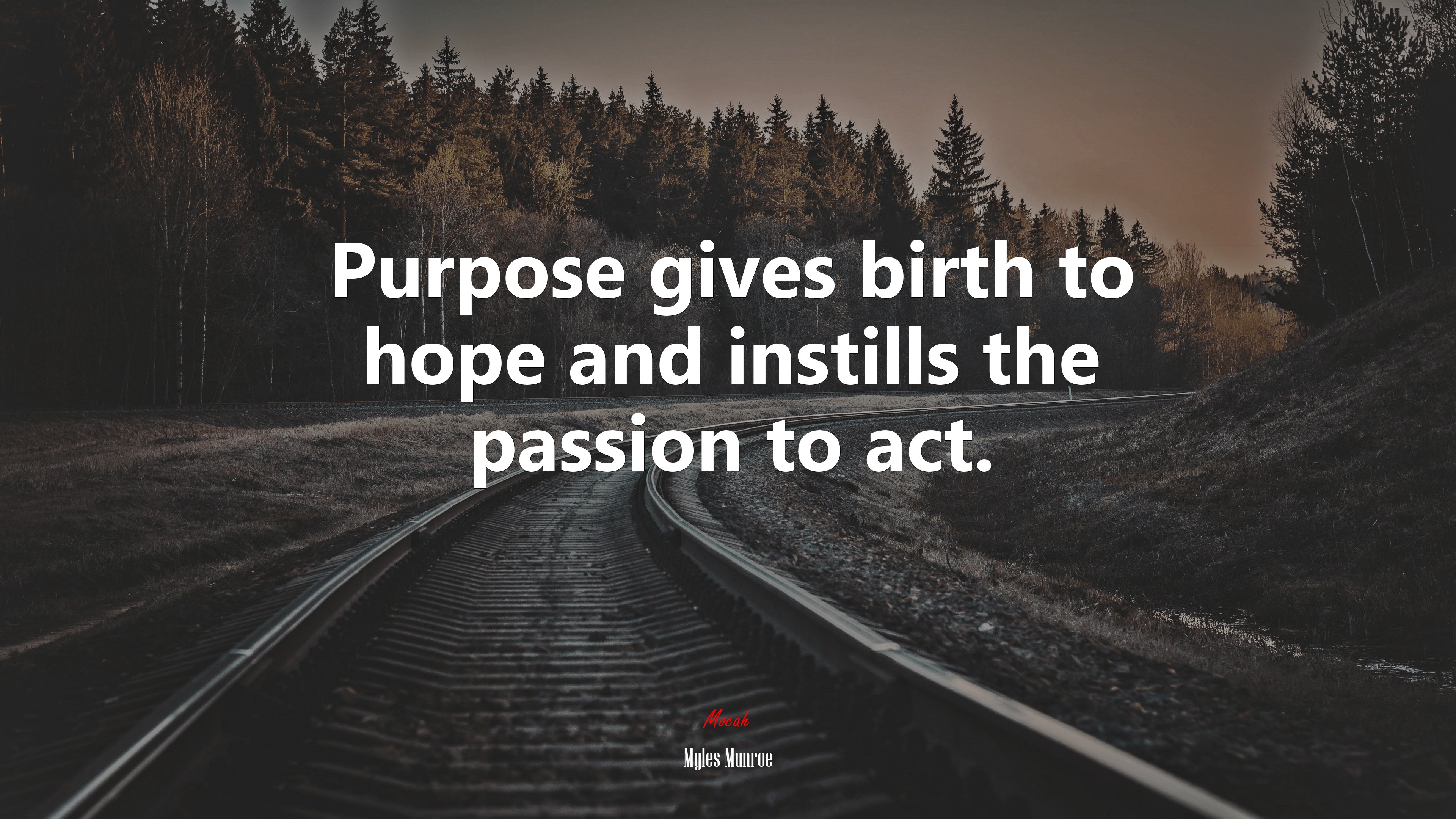 Purpose gives birth to hope and instills the passion to act. | Myles Munroe quote HD Wallpaper