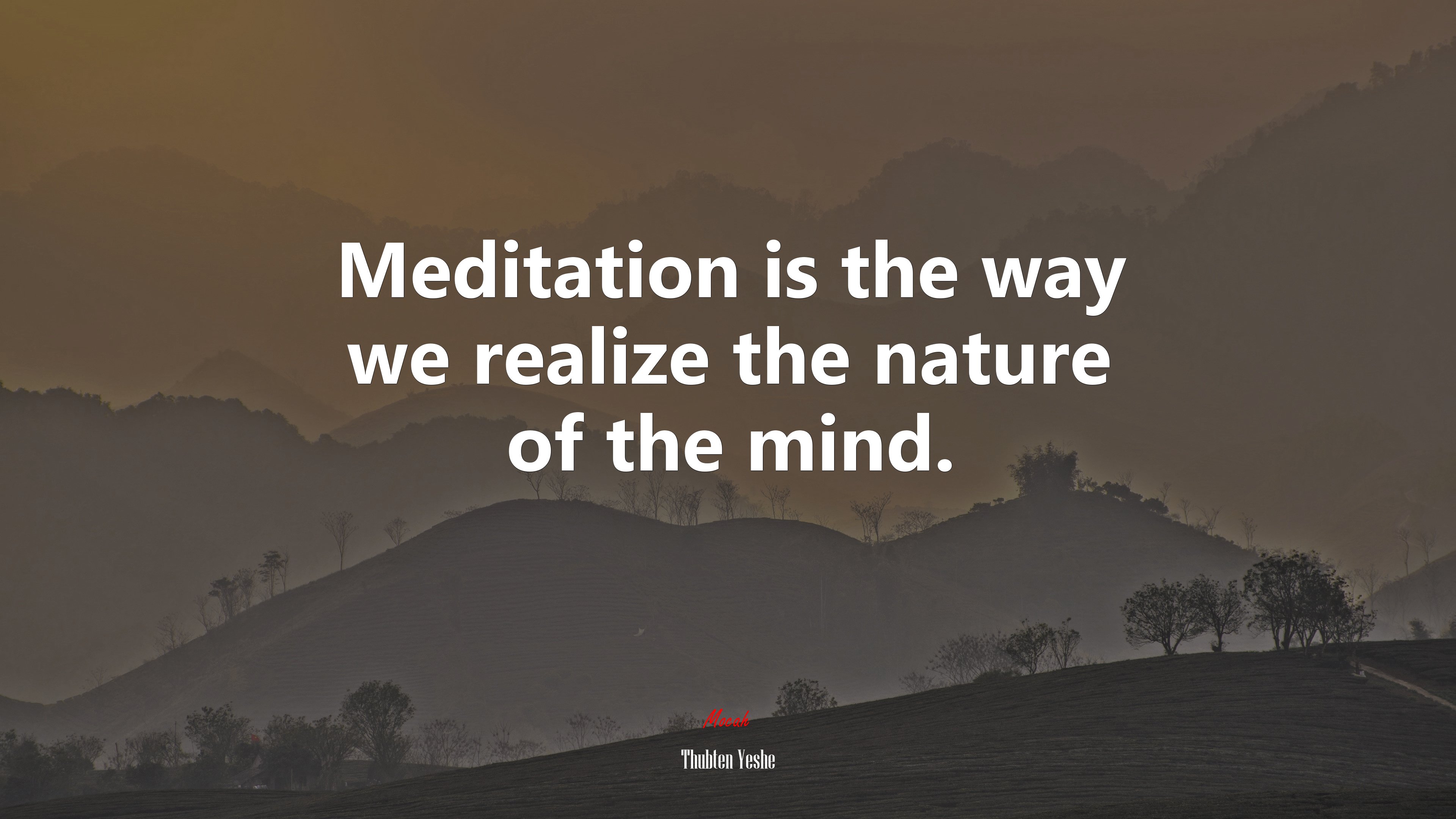 Meditation is the way we realize the nature of the mind. | Thubten Yeshe quote HD Wallpaper