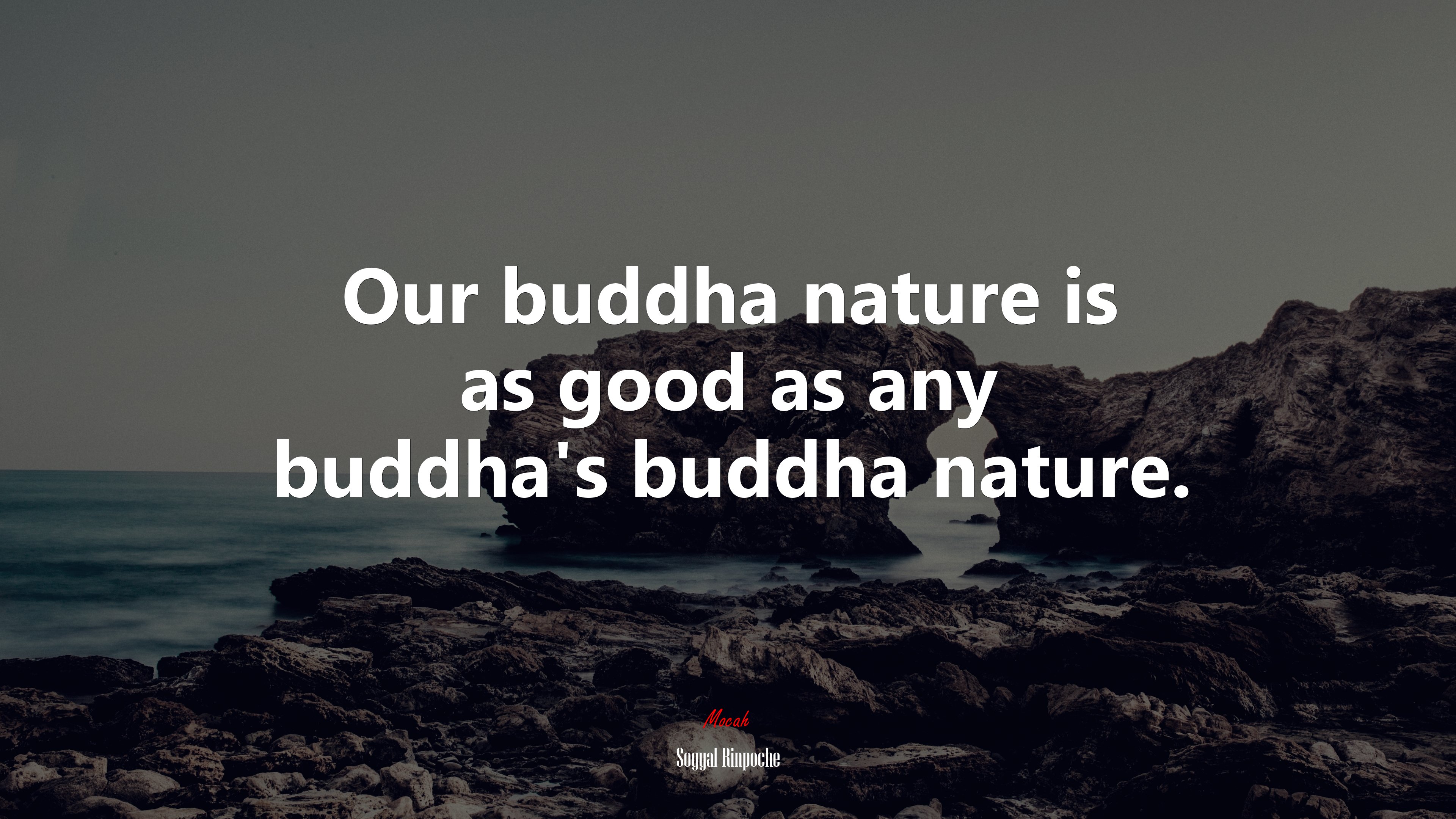 Our buddha nature is as good as any buddha’s buddha nature. | Sogyal Rinpoche quote HD Wallpaper