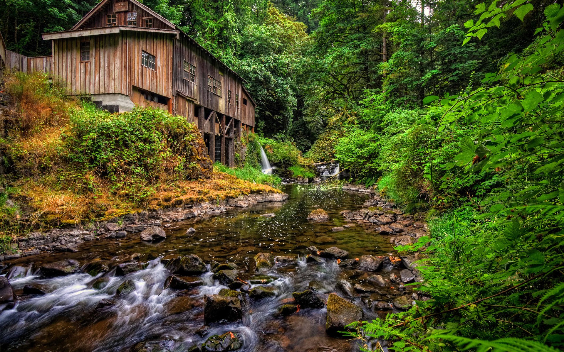 Old wooden mill beside a stream in a forest HD Wallpaper