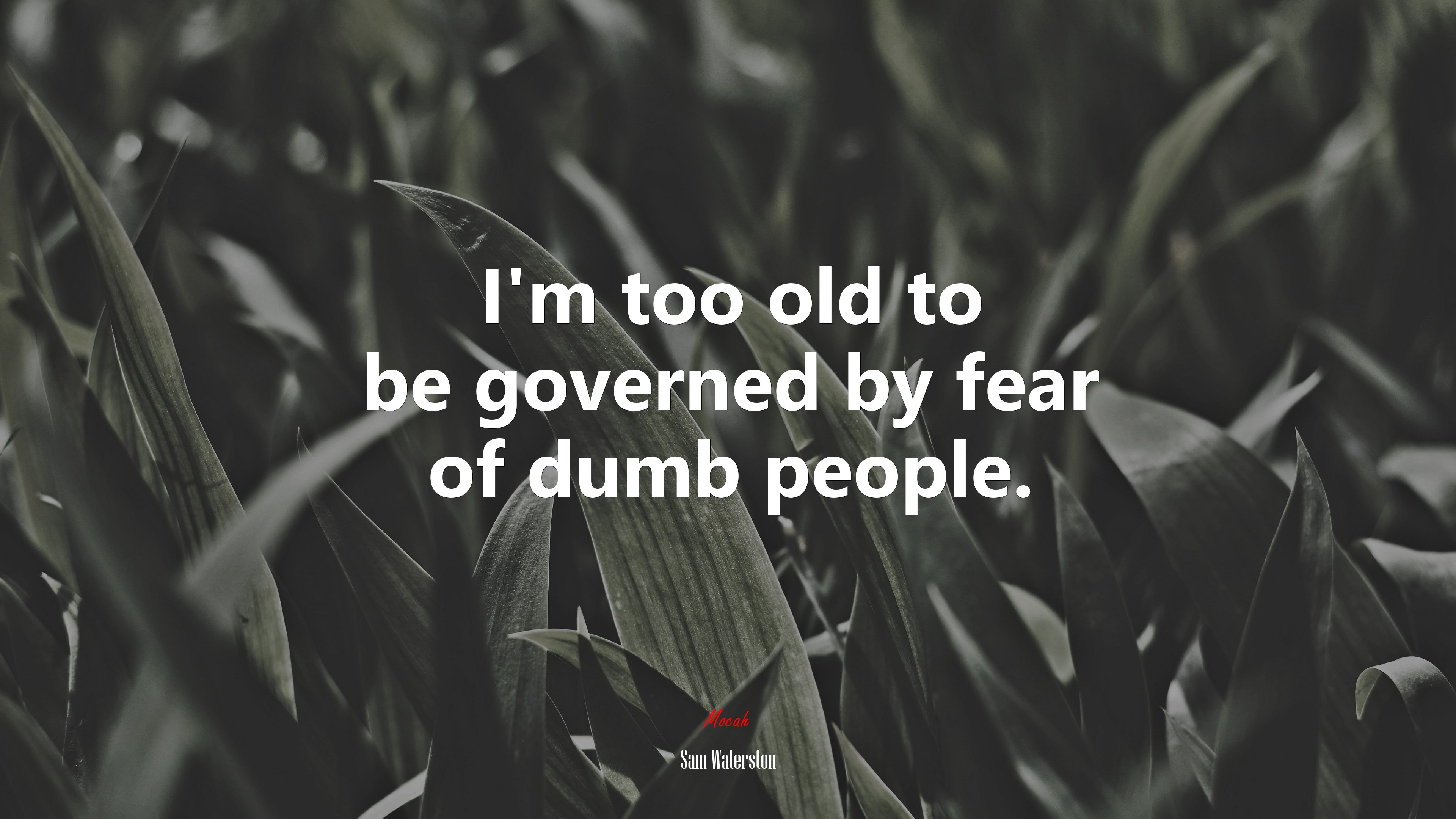 I’m too old to be governed by fear of dumb people. | Sam Waterston quote HD Wallpaper