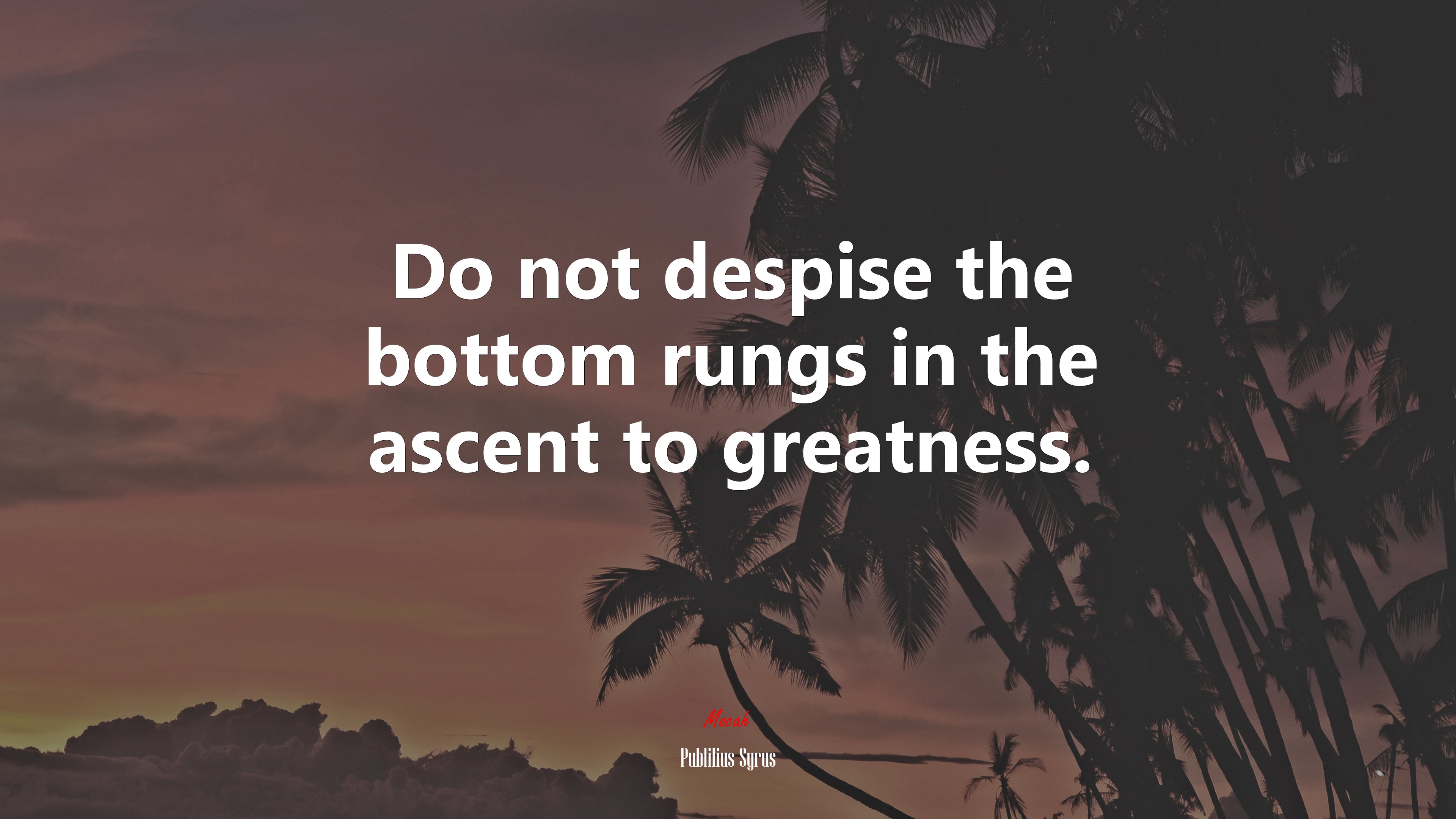 Do not despise the bottom rungs in the ascent to greatness. | Publilius Syrus quote HD Wallpaper