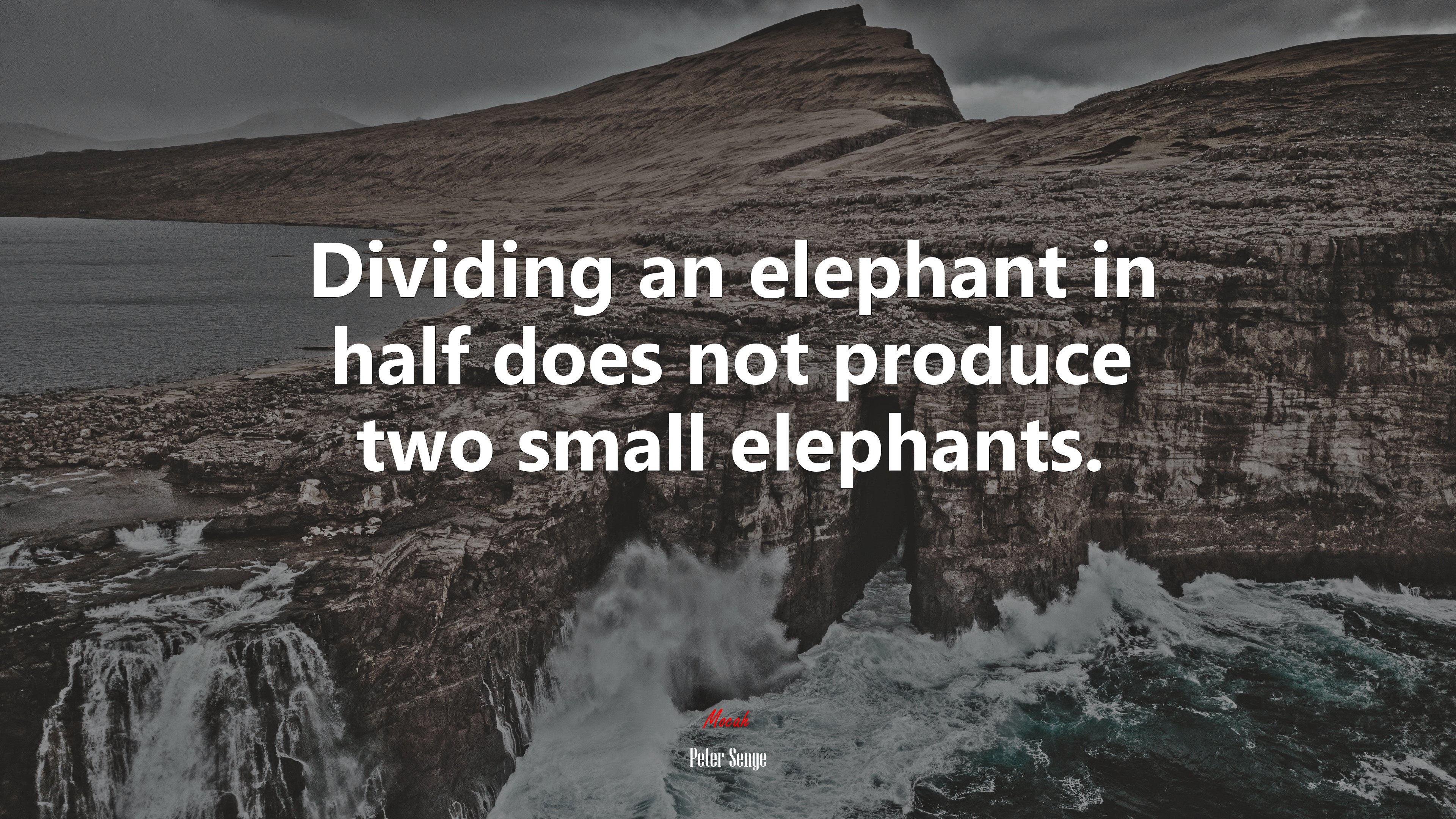 Dividing an elephant in half does not produce two small elephants. | Peter Senge quote HD Wallpaper