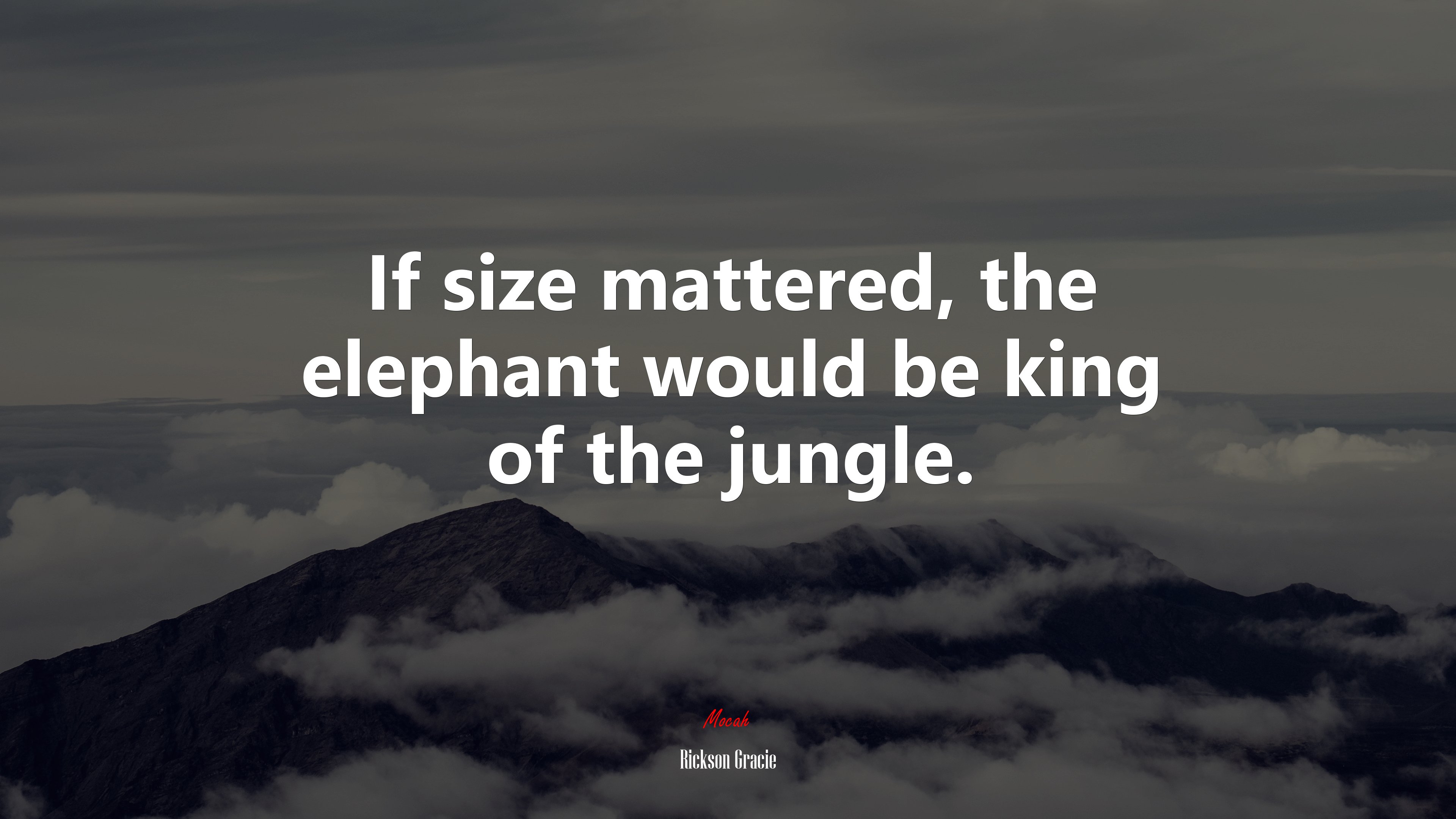 If size mattered, the elephant would be king of the jungle. | Rickson Gracie quote HD Wallpaper