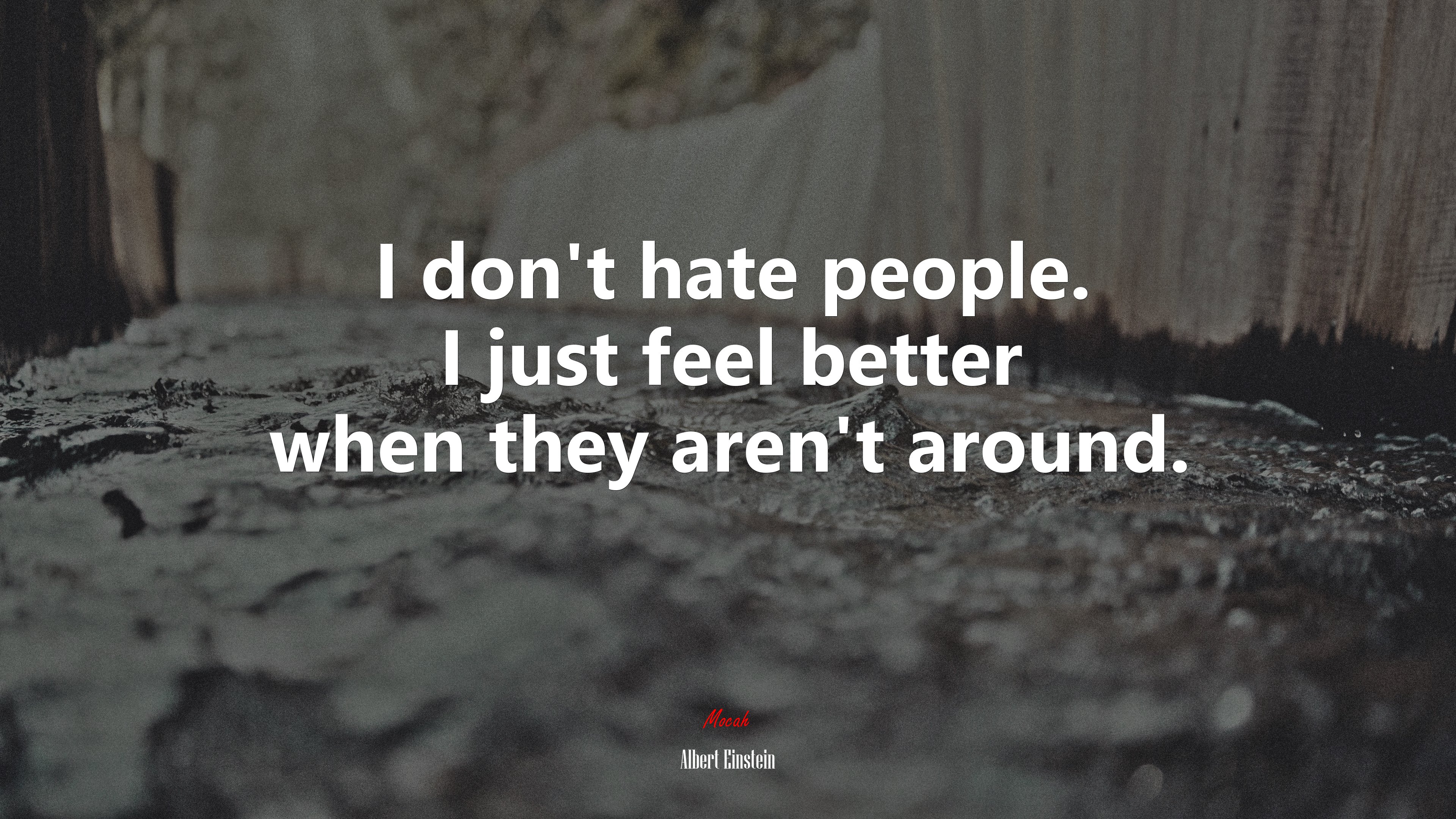 I don’t hate people. I just feel better when they aren’t around. | Albert Einstein quote HD Wallpaper