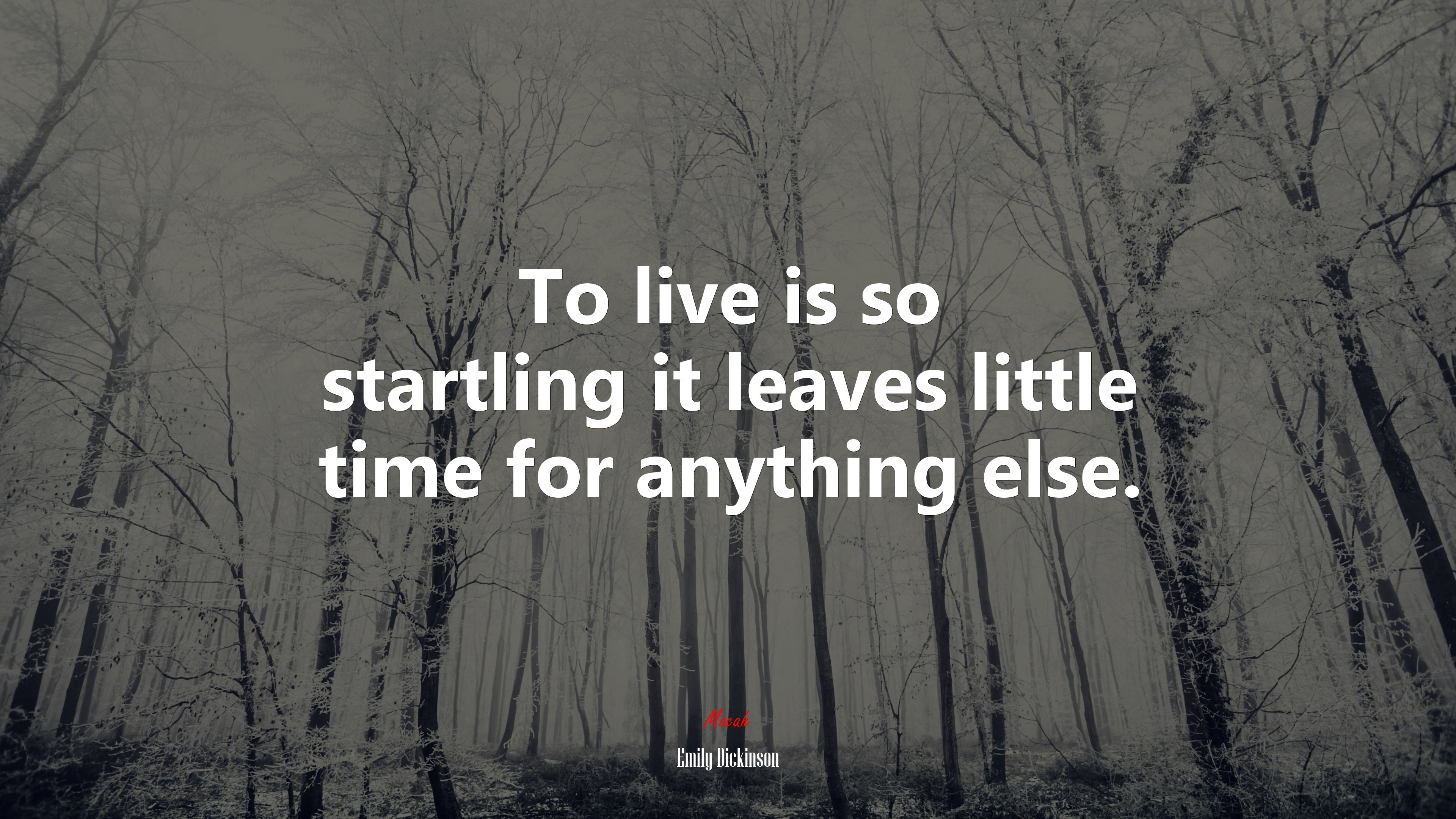 To live is so startling it leaves little time for anything else. | Emily Dickinson quote HD Wallpaper