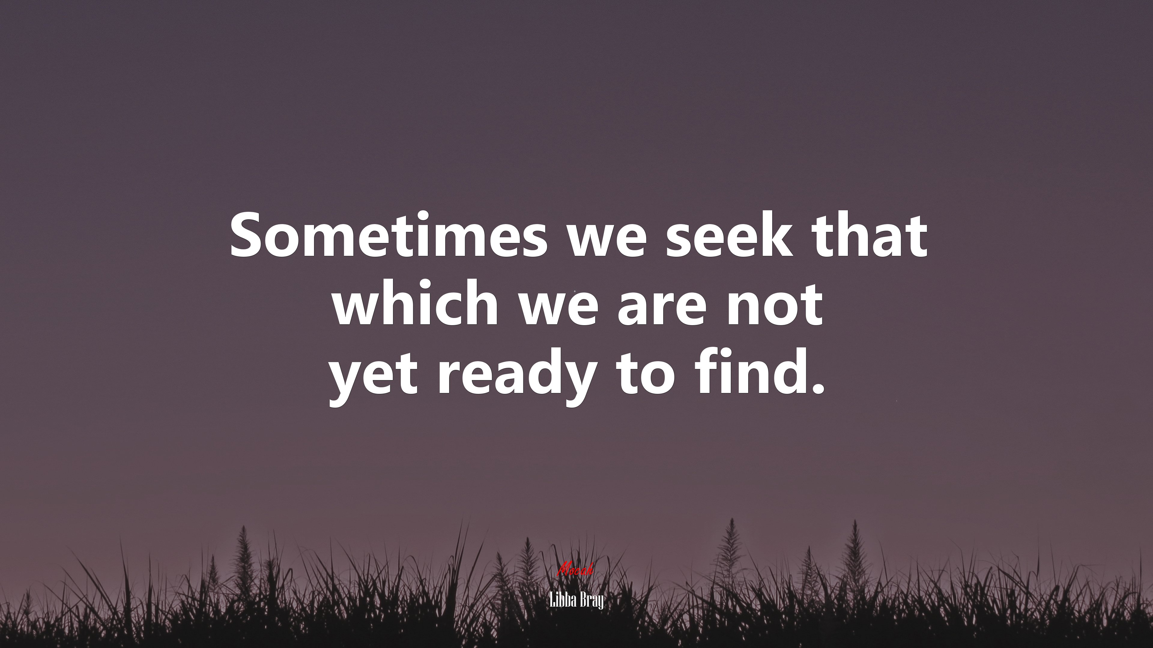 Sometimes we seek that which we are not yet ready to find. | Libba Bray quote HD Wallpaper