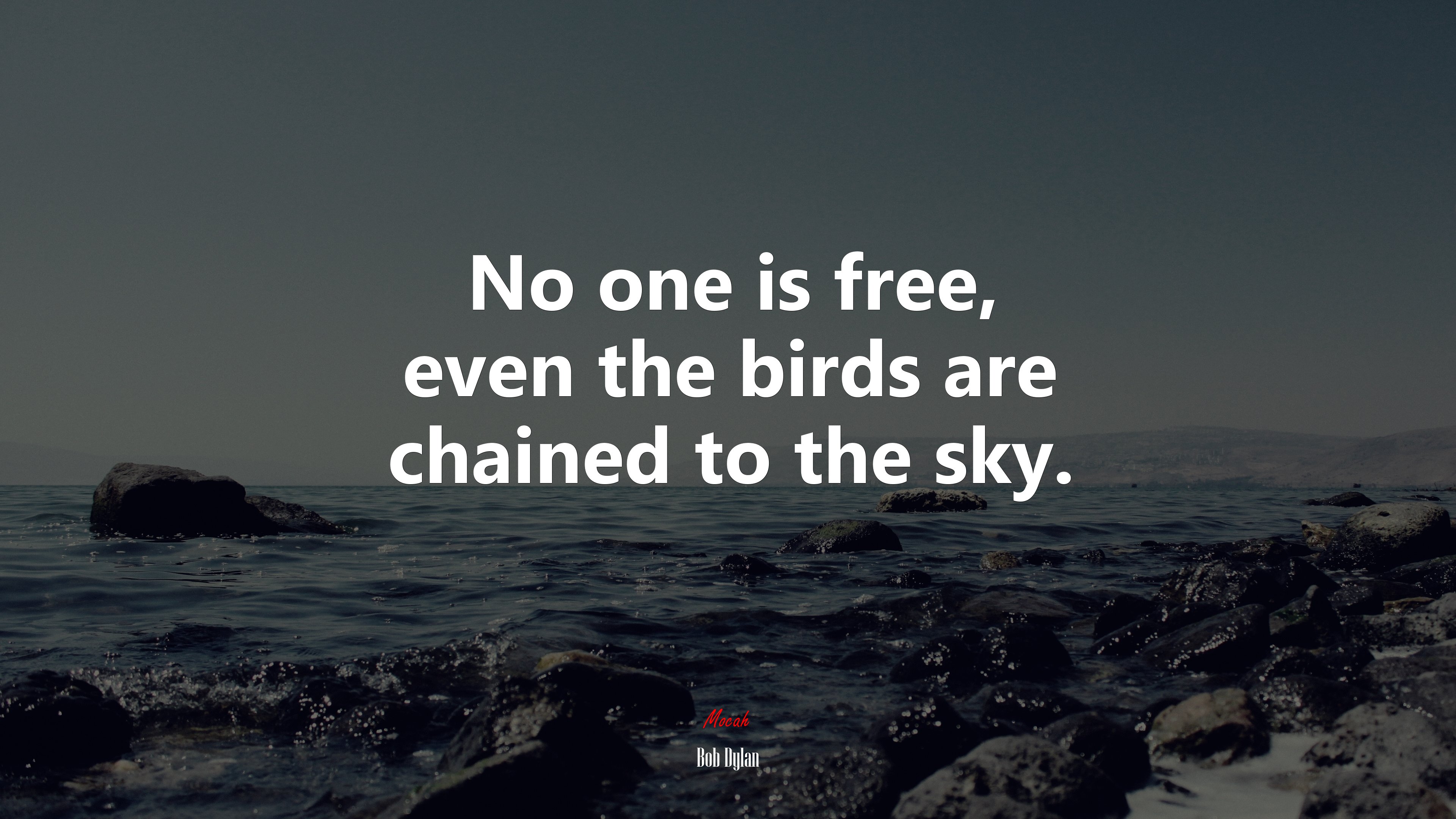 No one is free, even the birds are chained to the sky. | Bob Dylan quote HD Wallpaper