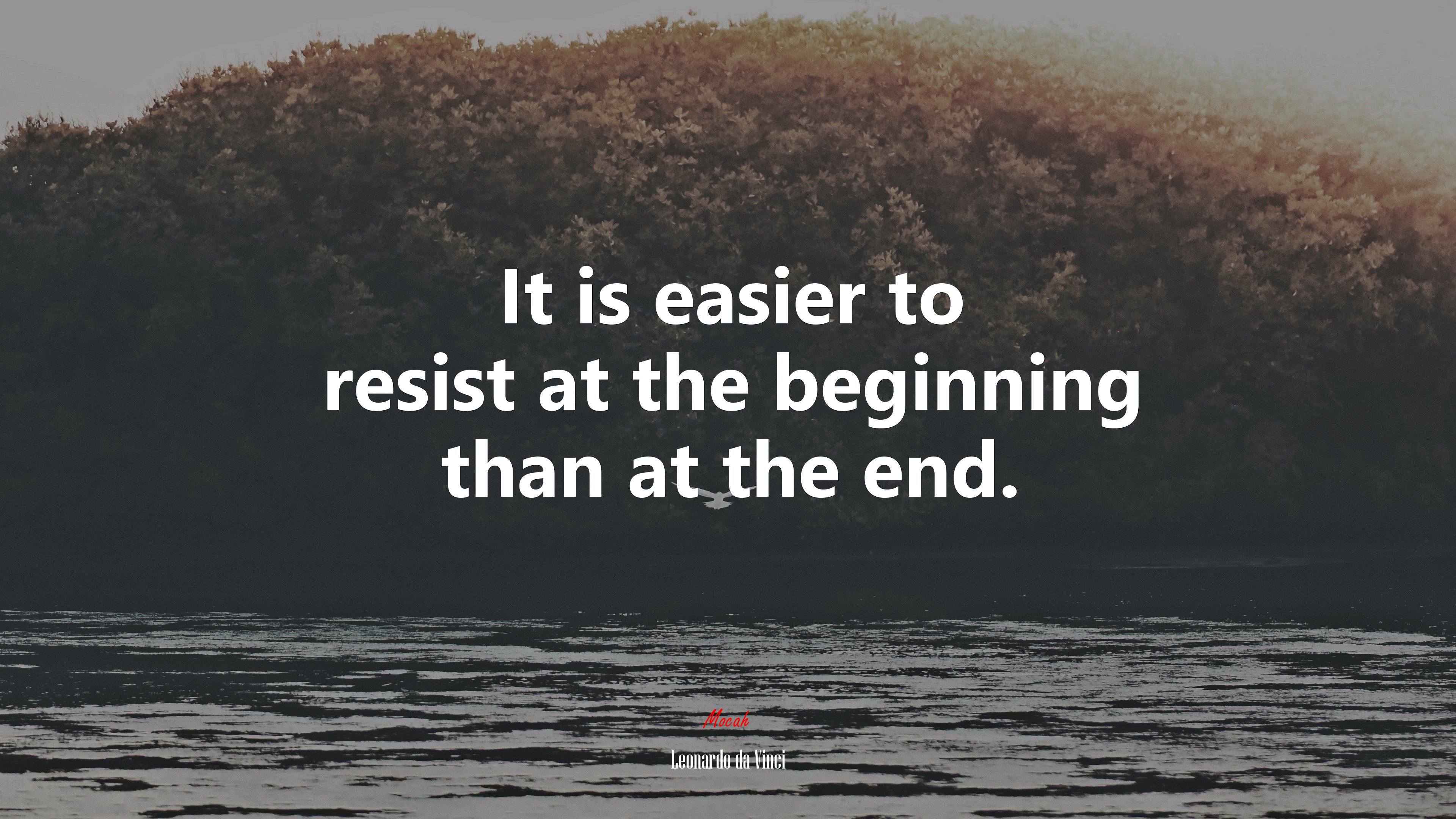 It is easier to resist at the beginning than at the end. | Leonardo da Vinci quote HD Wallpaper