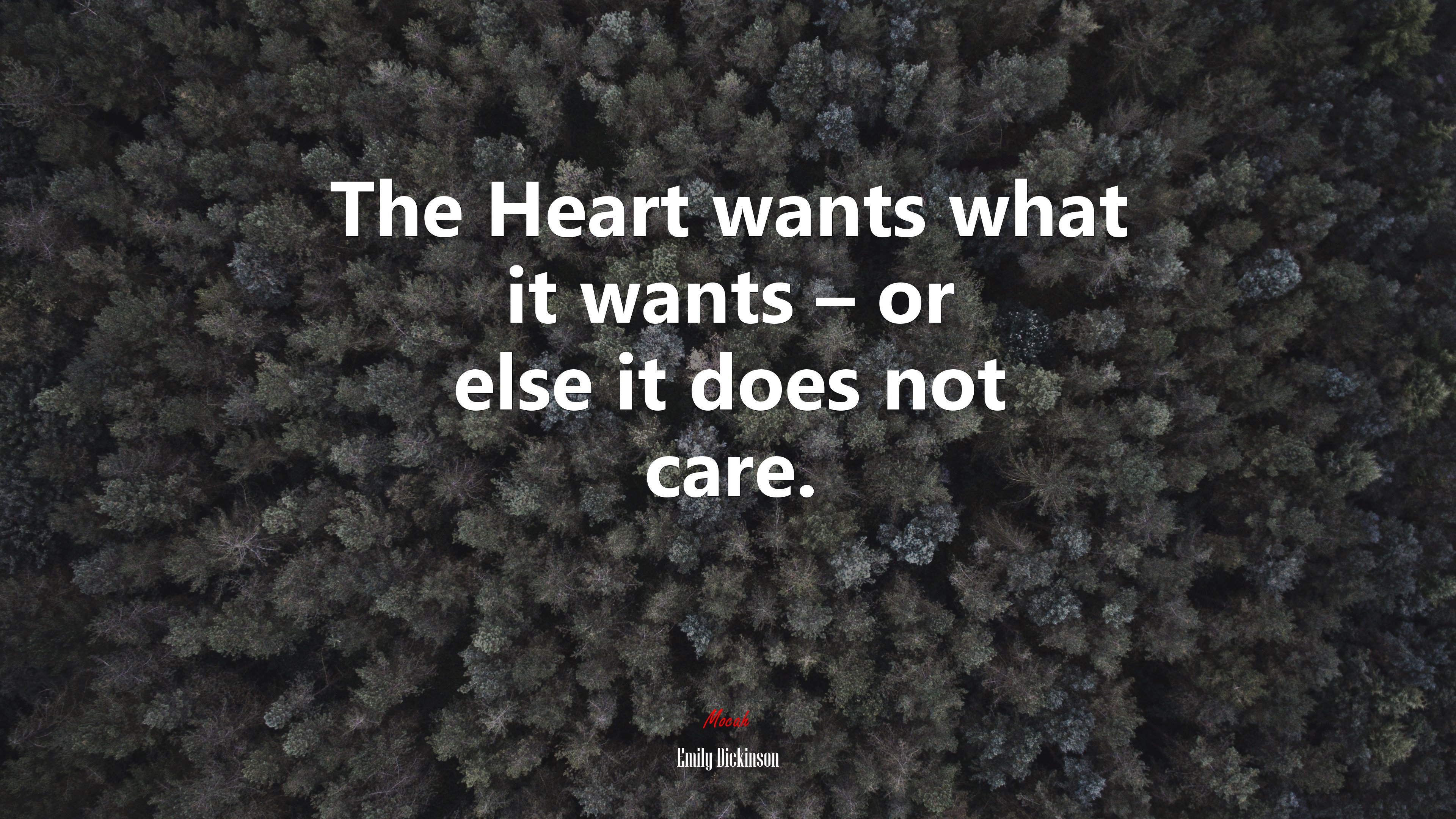 The Heart wants what it wants – or else it does not care. | Emily Dickinson quote HD Wallpaper