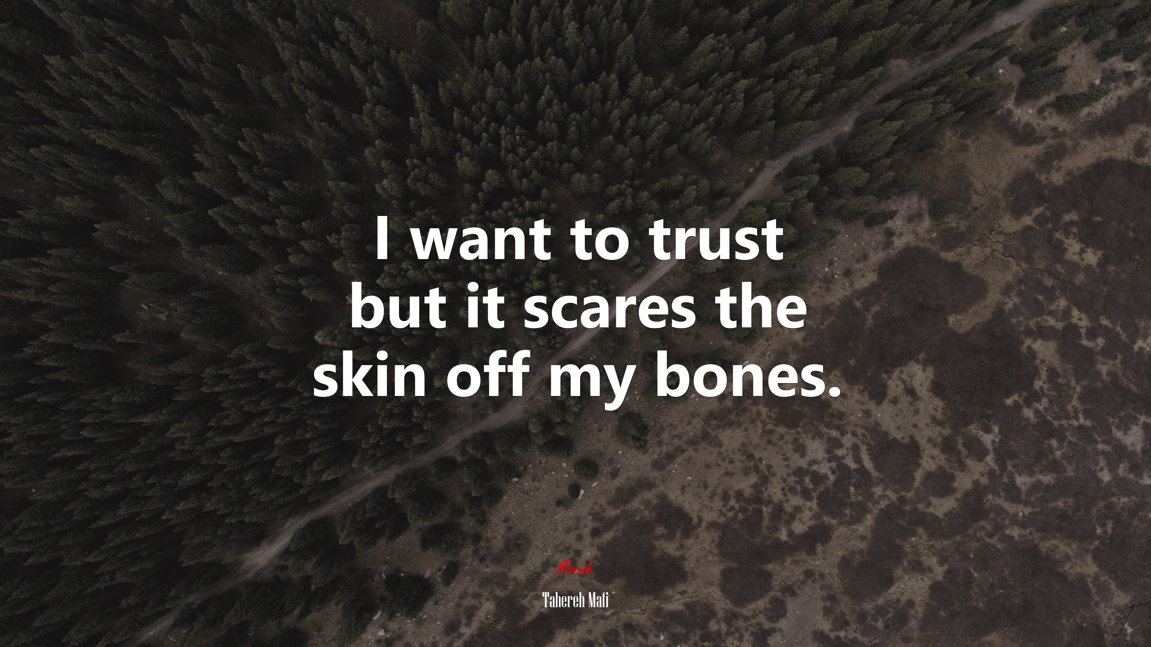 I want to trust but it scares the skin off my bones. | Tahereh Mafi quote HD Wallpaper
