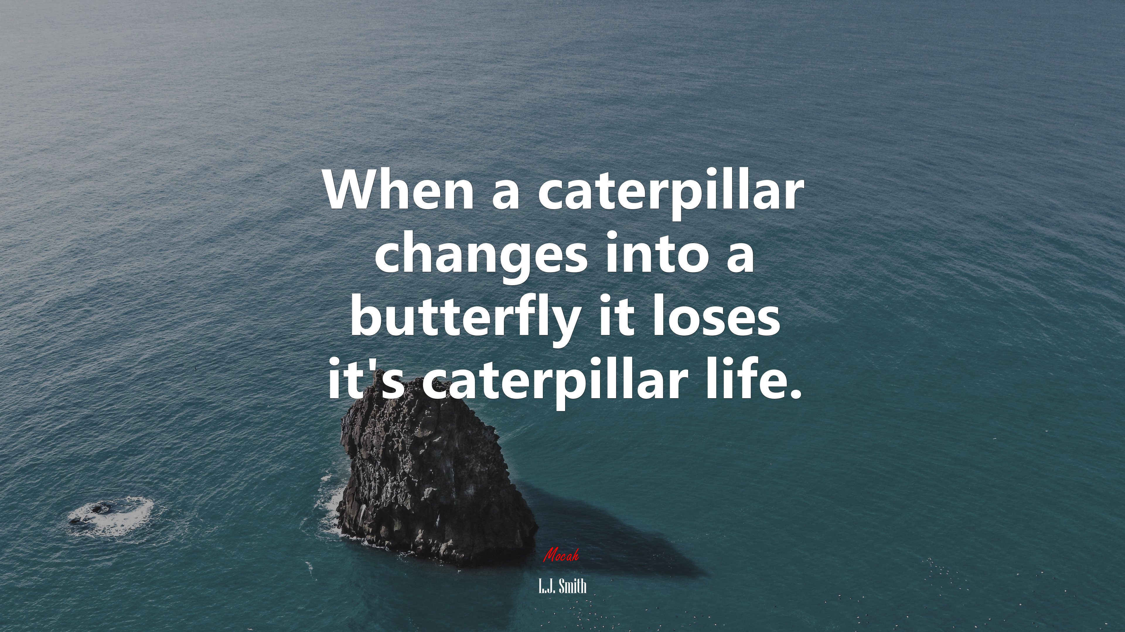 When a caterpillar changes into a butterfly it loses it’s caterpillar life. | L.J. Smith quote HD Wallpaper