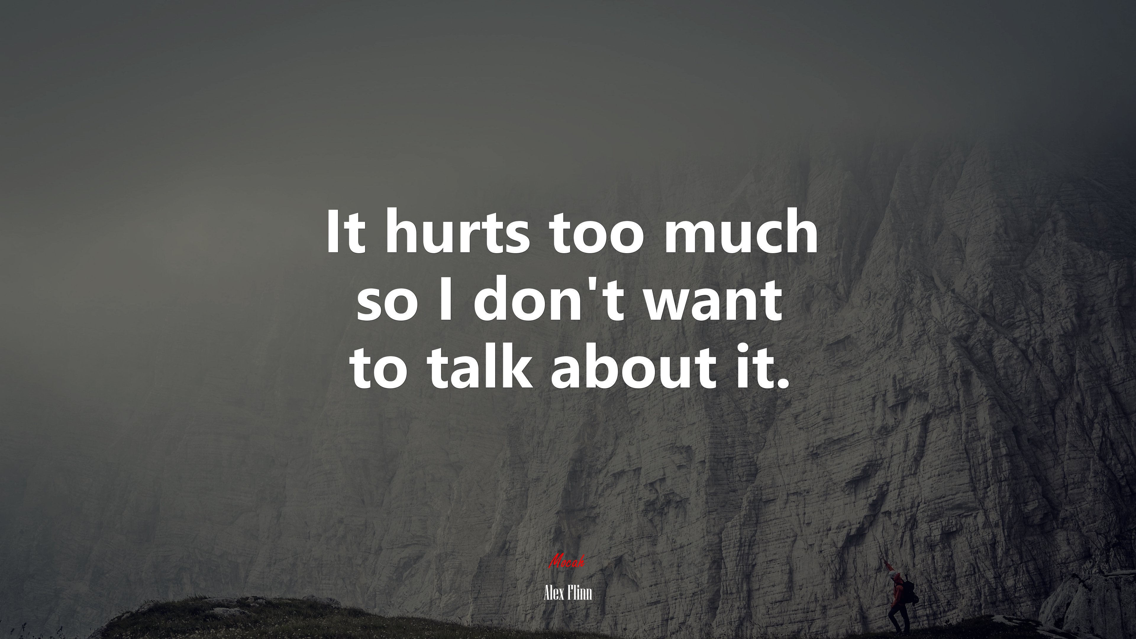 It hurts too much so I don’t want to talk about it. | Alex Flinn quote HD Wallpaper