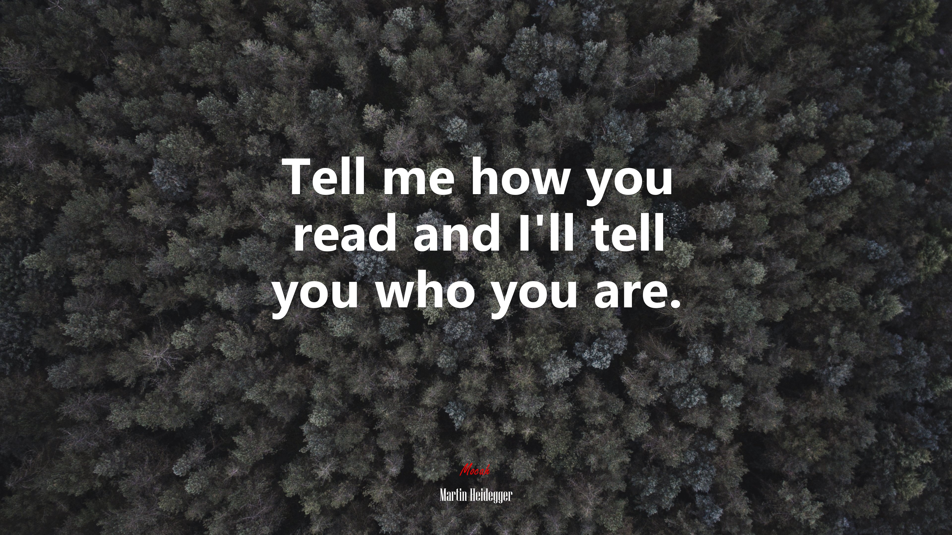 Tell me how you read and I’ll tell you who you are. | Martin Heidegger quote HD Wallpaper