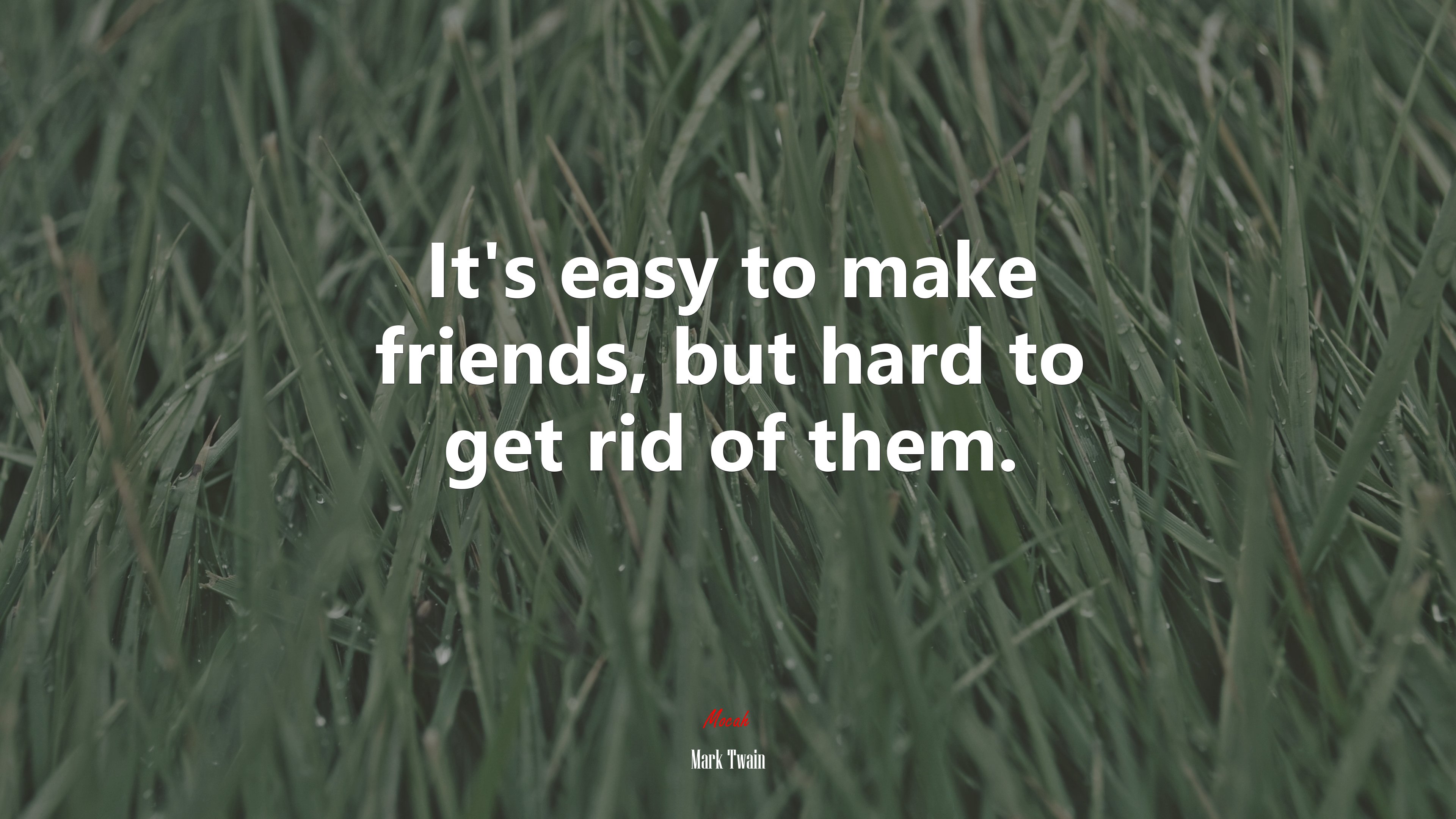 It’s easy to make friends, but hard to get rid of them. | Mark Twain quote HD Wallpaper
