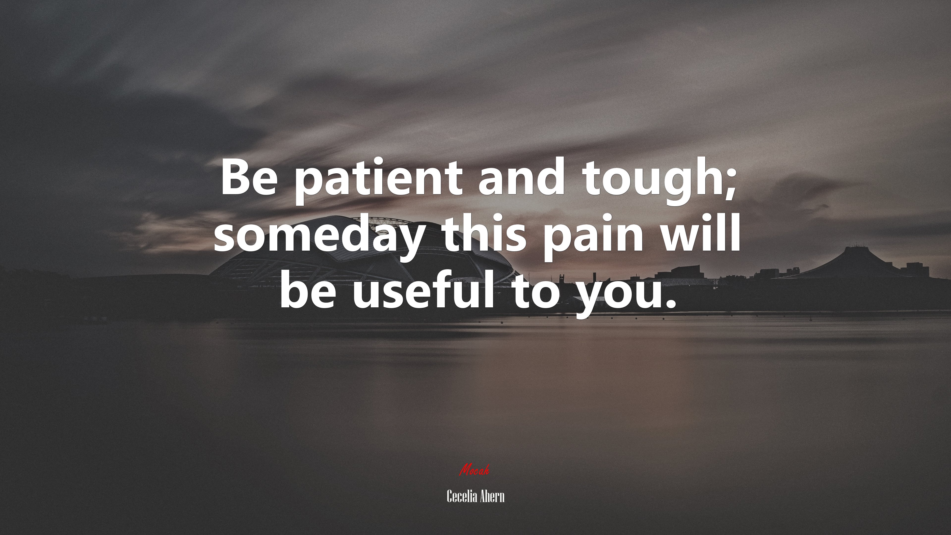Be patient and tough; someday this pain will be useful to you. | Cecelia Ahern quote HD Wallpaper