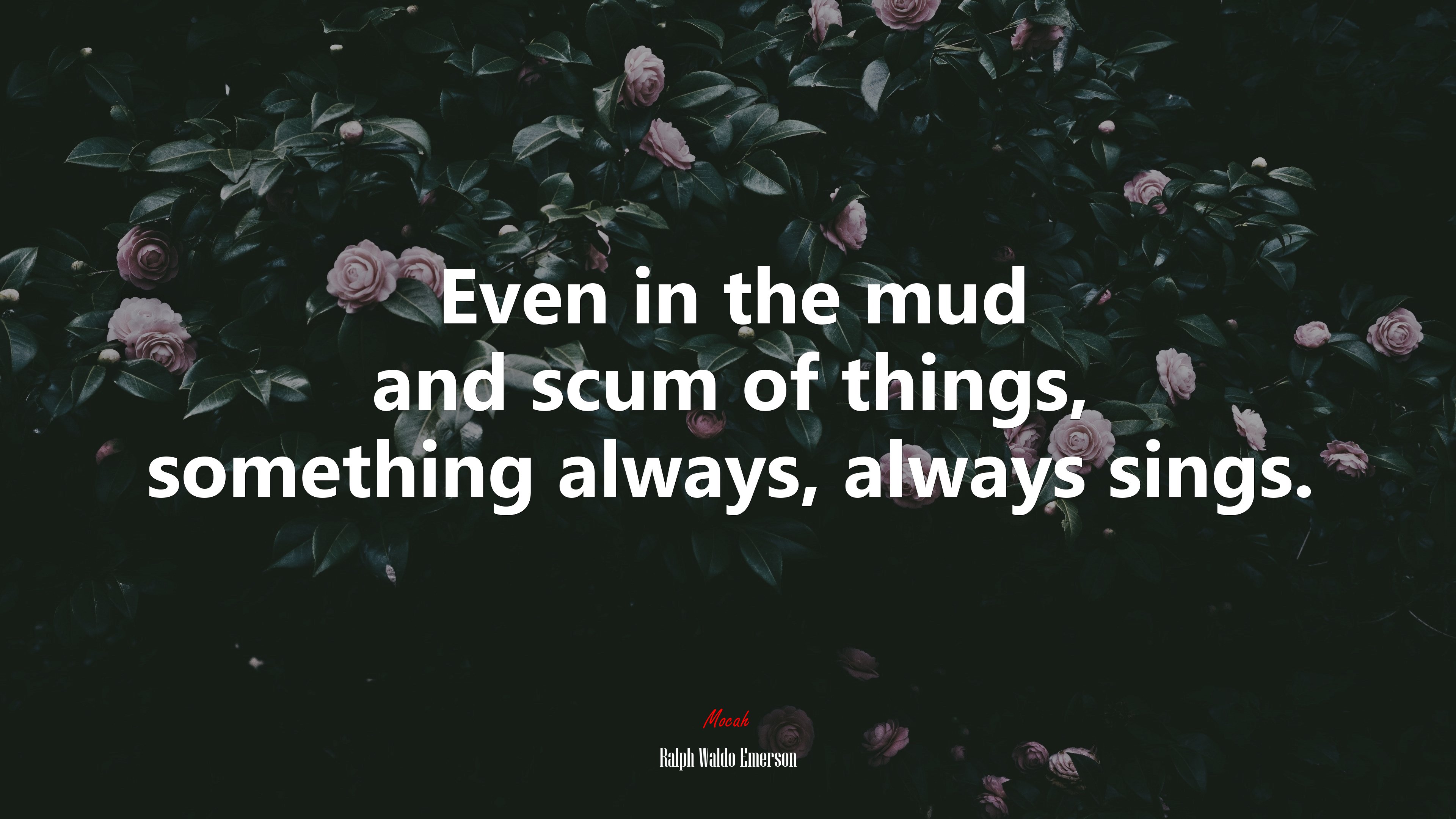 Even in the mud and scum of things, something always, always sings. | Ralph Waldo Emerson quote HD Wallpaper