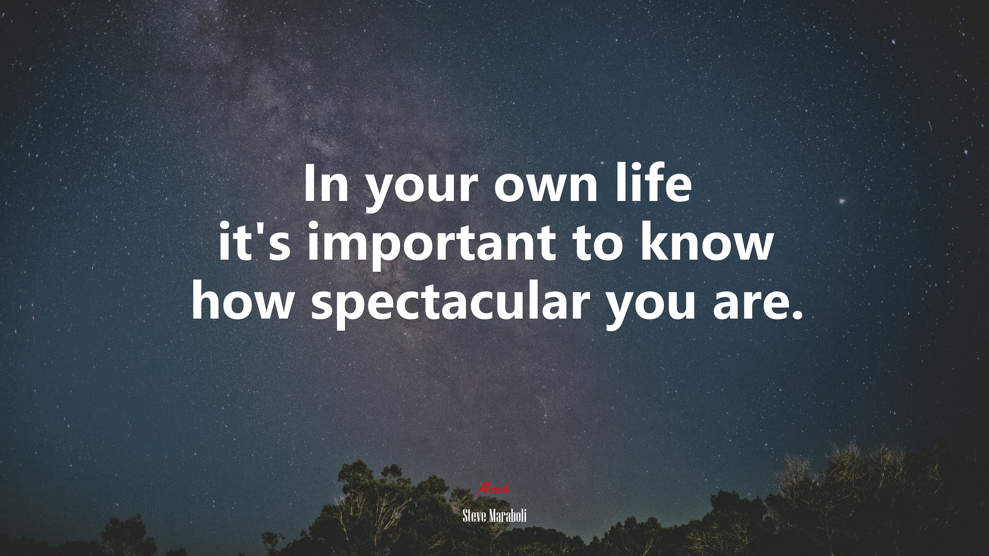 In your own life it’s important to know how spectacular you are. | Steve Maraboli quote HD Wallpaper