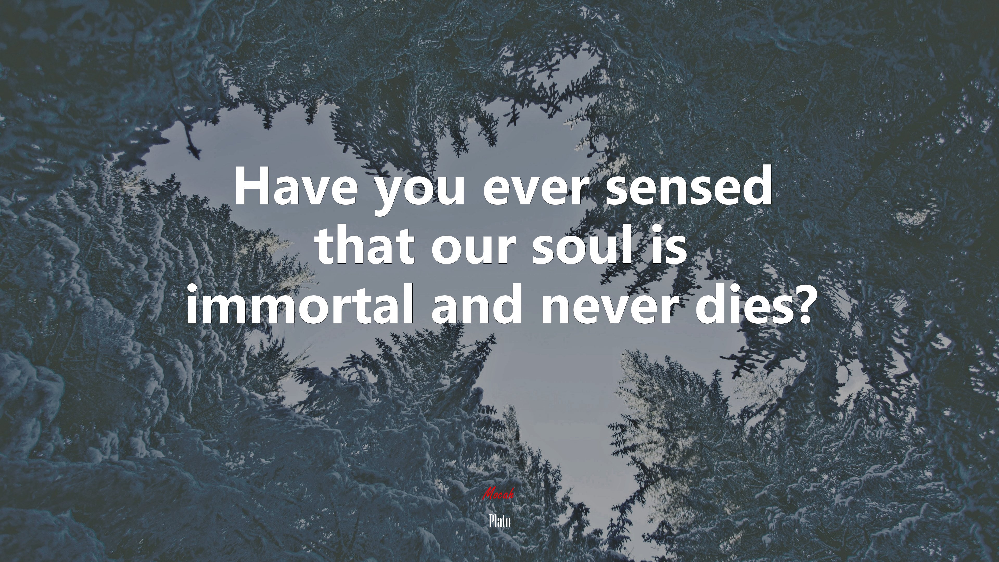 Have you ever sensed that our soul is immortal and never dies? | Plato quote HD Wallpaper