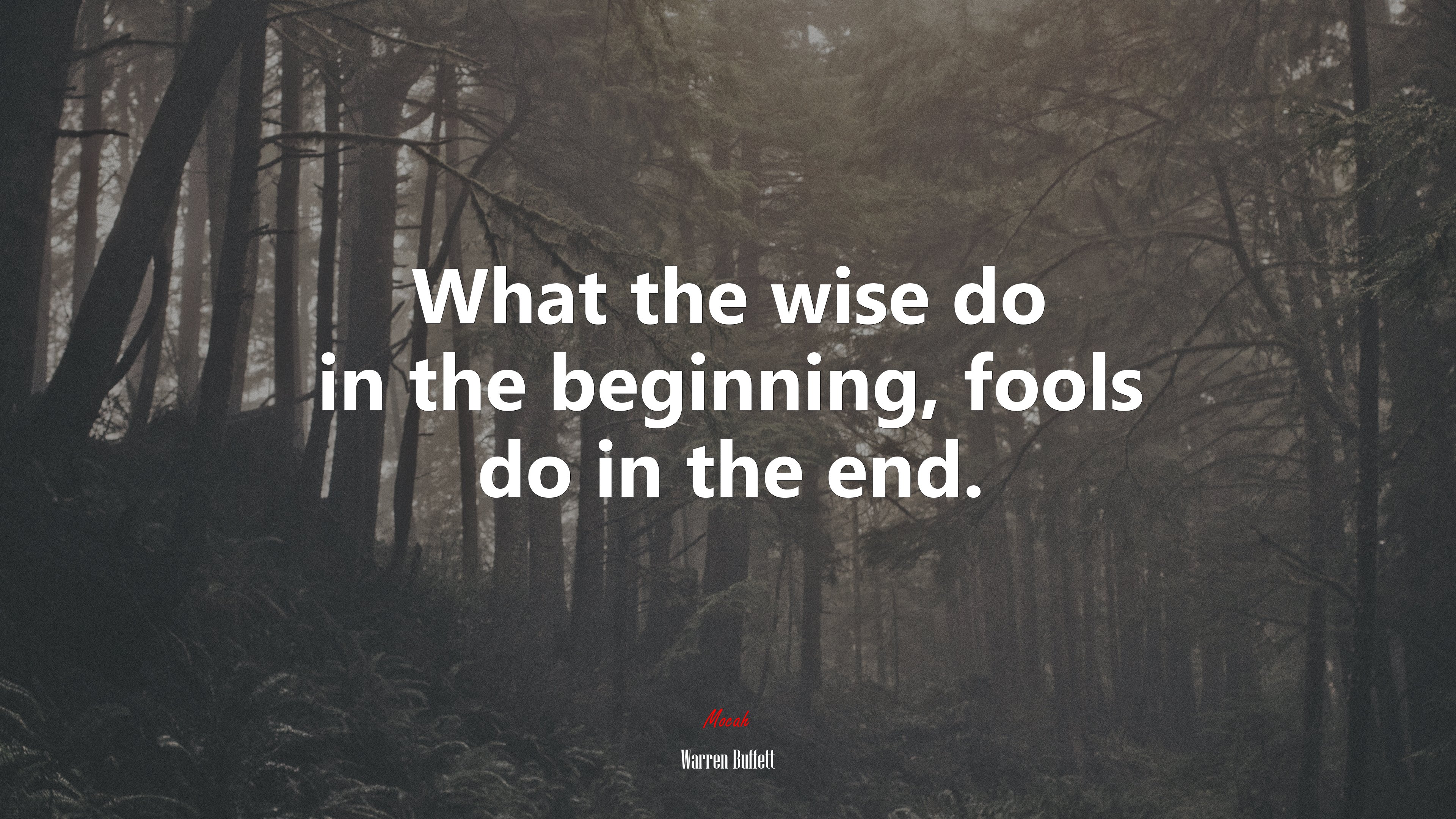 What the wise do in the beginning, fools do in the end. | Warren Buffett quote HD Wallpaper