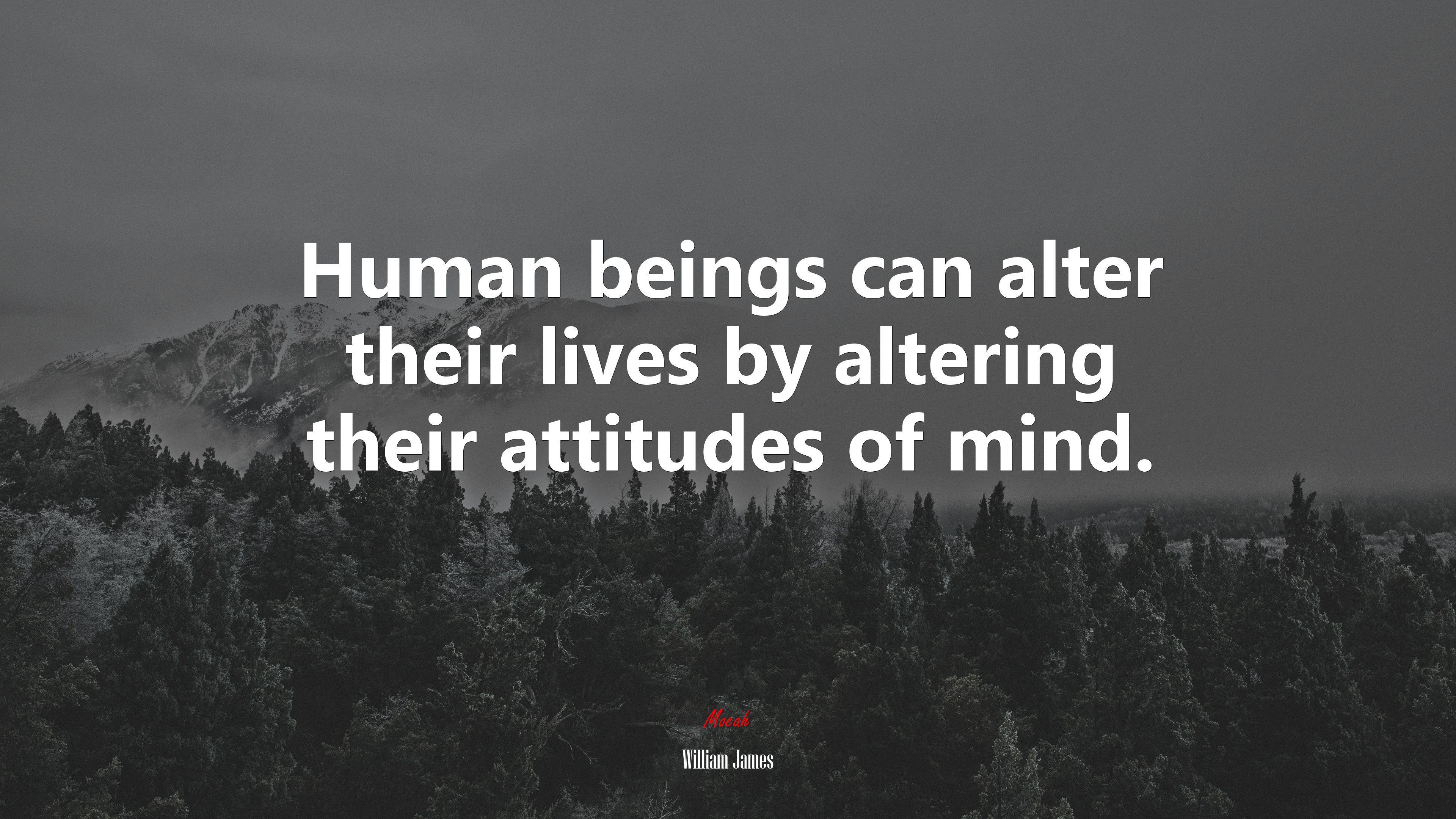 Human beings can alter their lives by altering their attitudes of mind. | William James quote HD Wallpaper