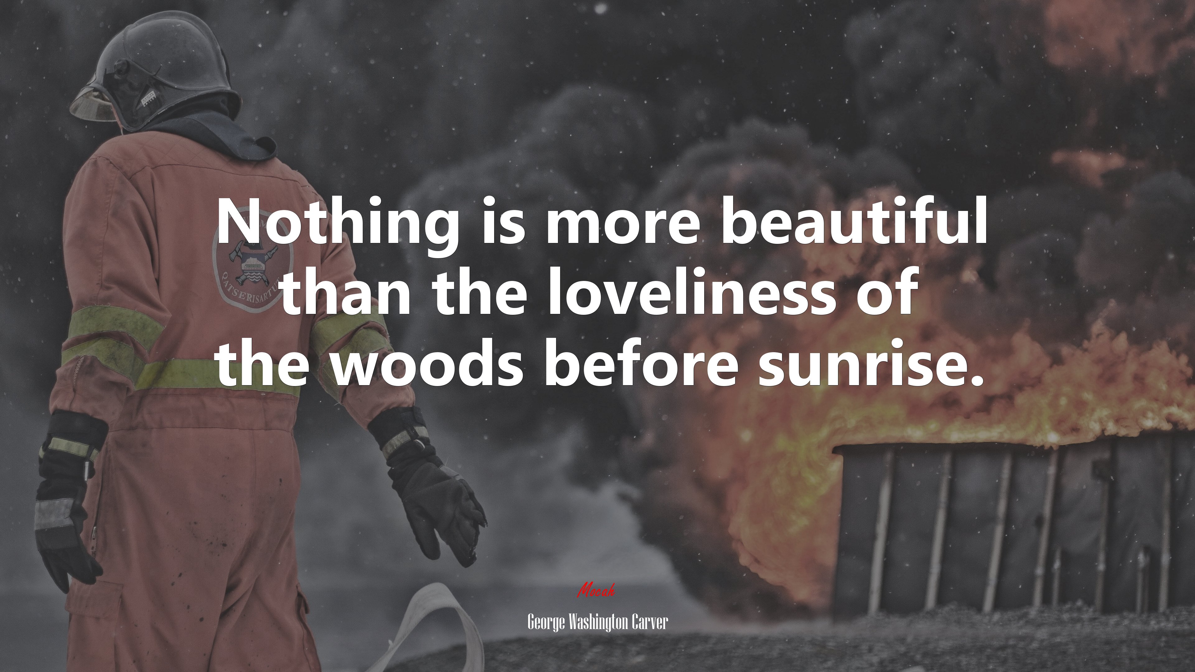 Nothing is more beautiful than the loveliness of the woods before sunrise. | George Washington Carver quote HD Wallpaper