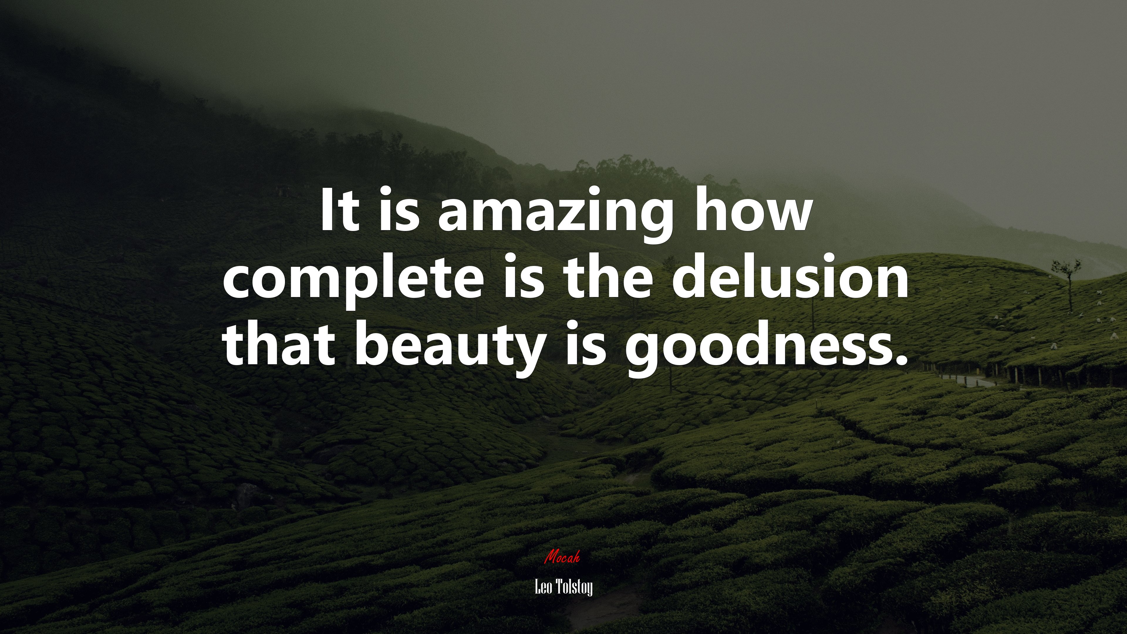 It is amazing how complete is the delusion that beauty is goodness. | Leo Tolstoy quote HD Wallpaper