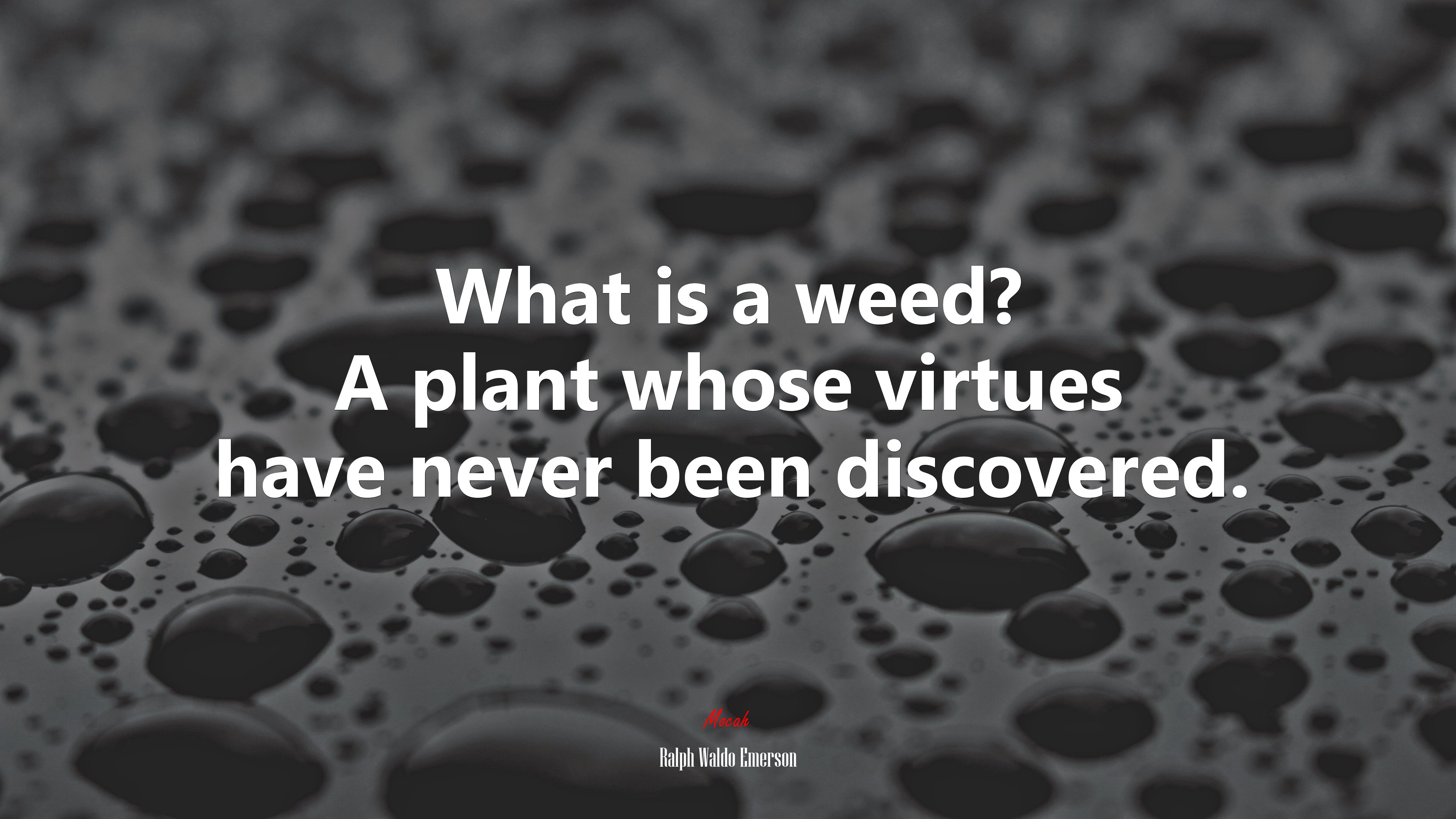 What is a weed? A plant whose virtues have never been discovered. | Ralph Waldo Emerson quote HD Wallpaper