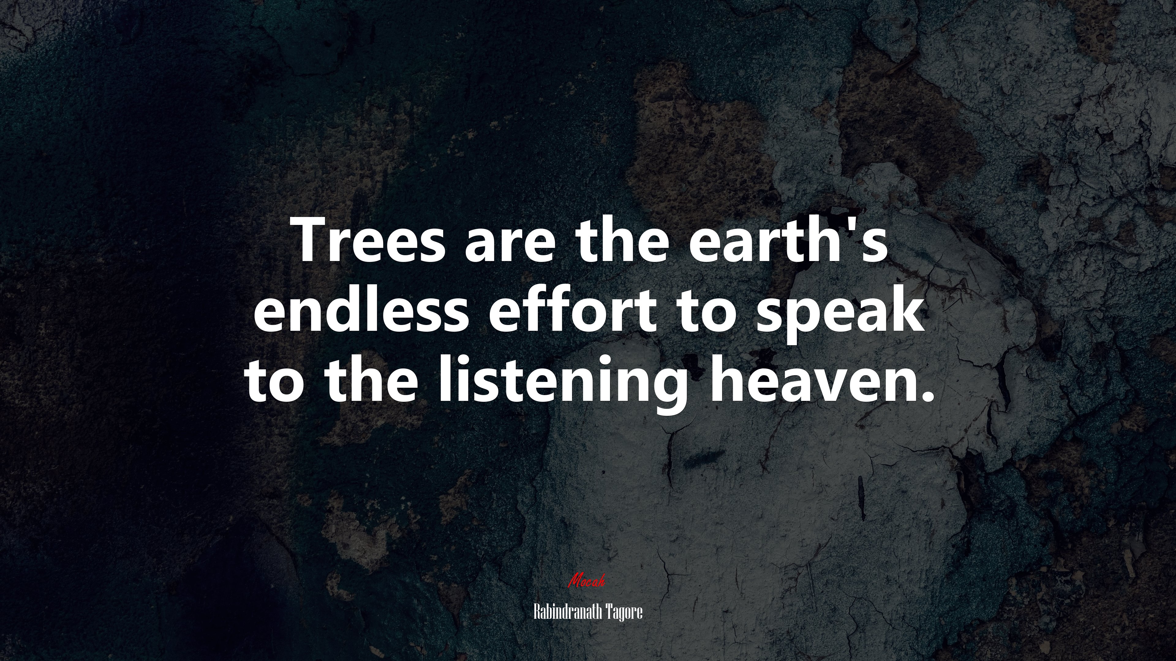 Trees are the earth’s endless effort to speak to the listening heaven. | Rabindranath Tagore quote HD Wallpaper