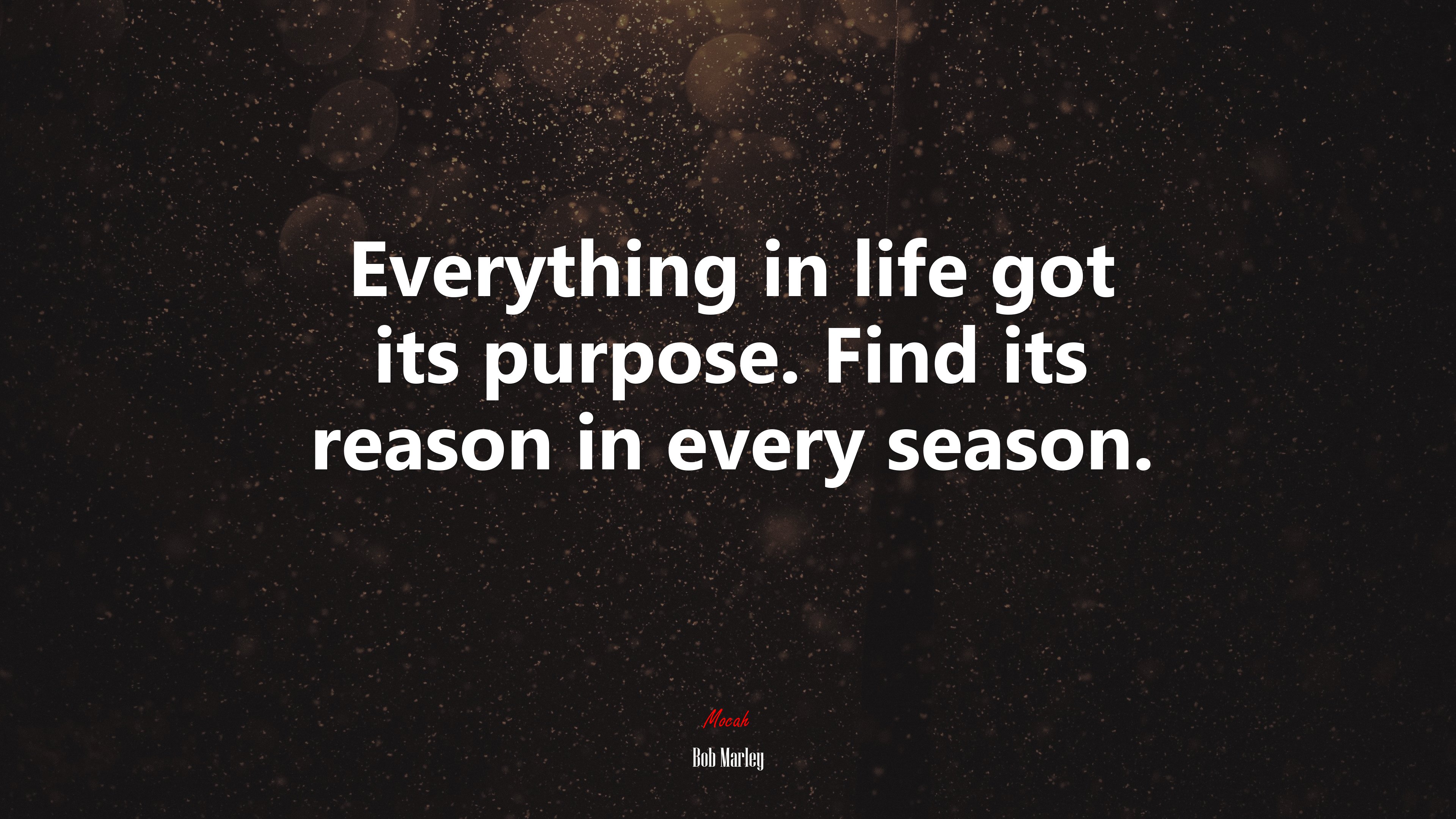 Everything in life got its purpose. Find its reason in every season. | Bob Marley quote HD Wallpaper