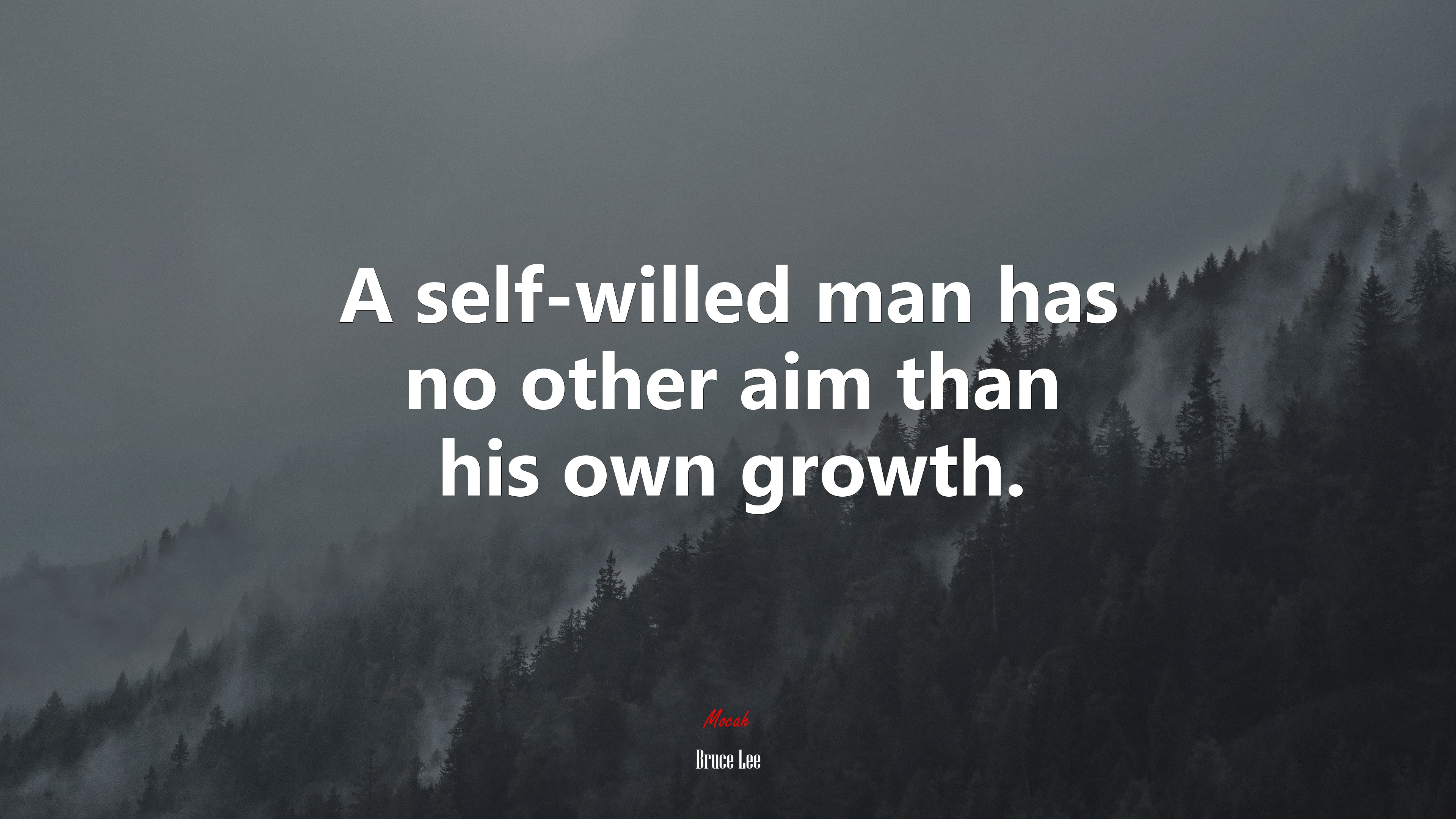 A self-willed man has no other aim than his own growth. | Bruce Lee quote HD Wallpaper