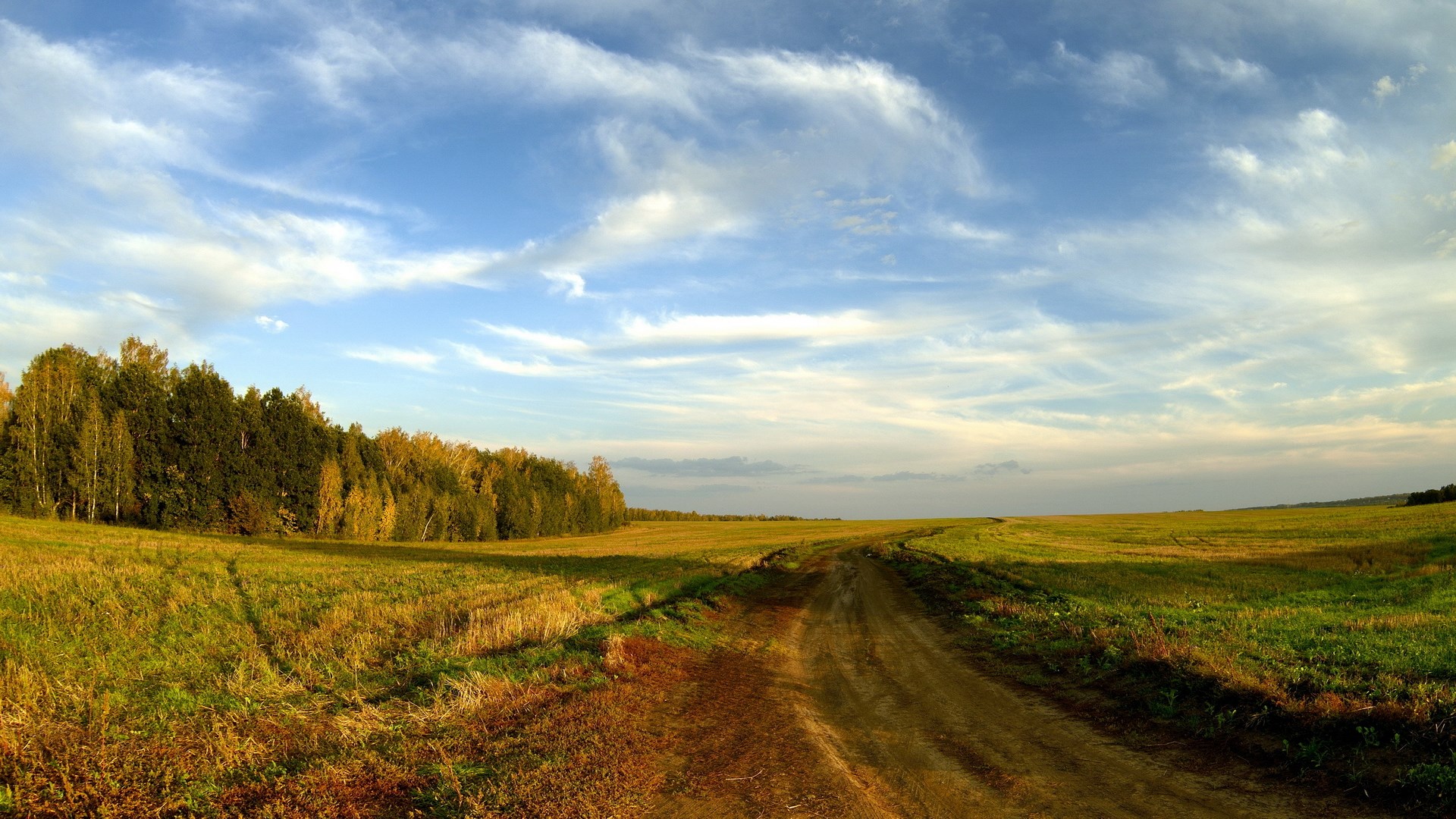 Dirt road through a field with trees and sky HD Wallpaper