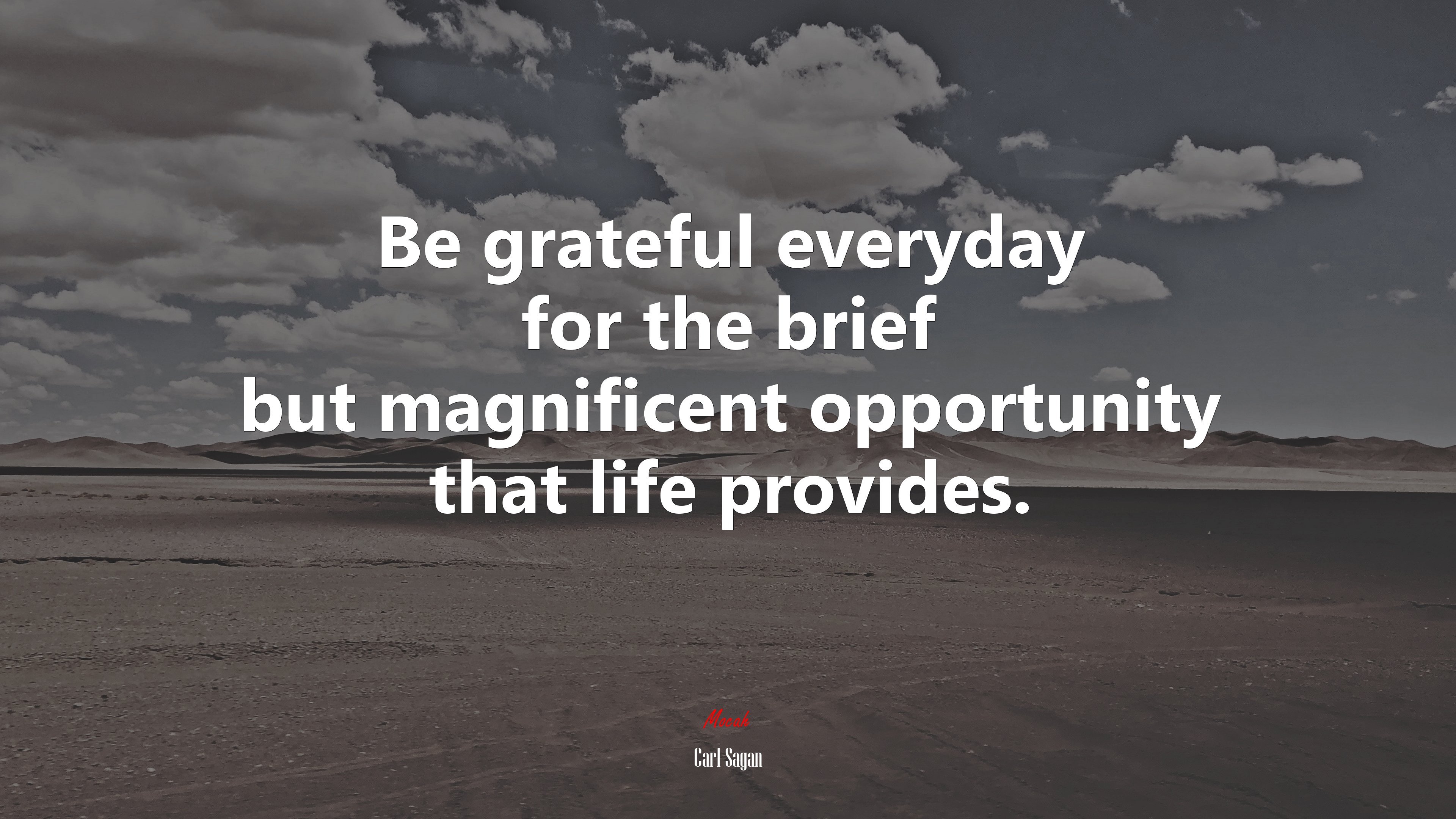 Be grateful everyday for the brief but magnificent opportunity that life provides. | Carl Sagan quote HD Wallpaper
