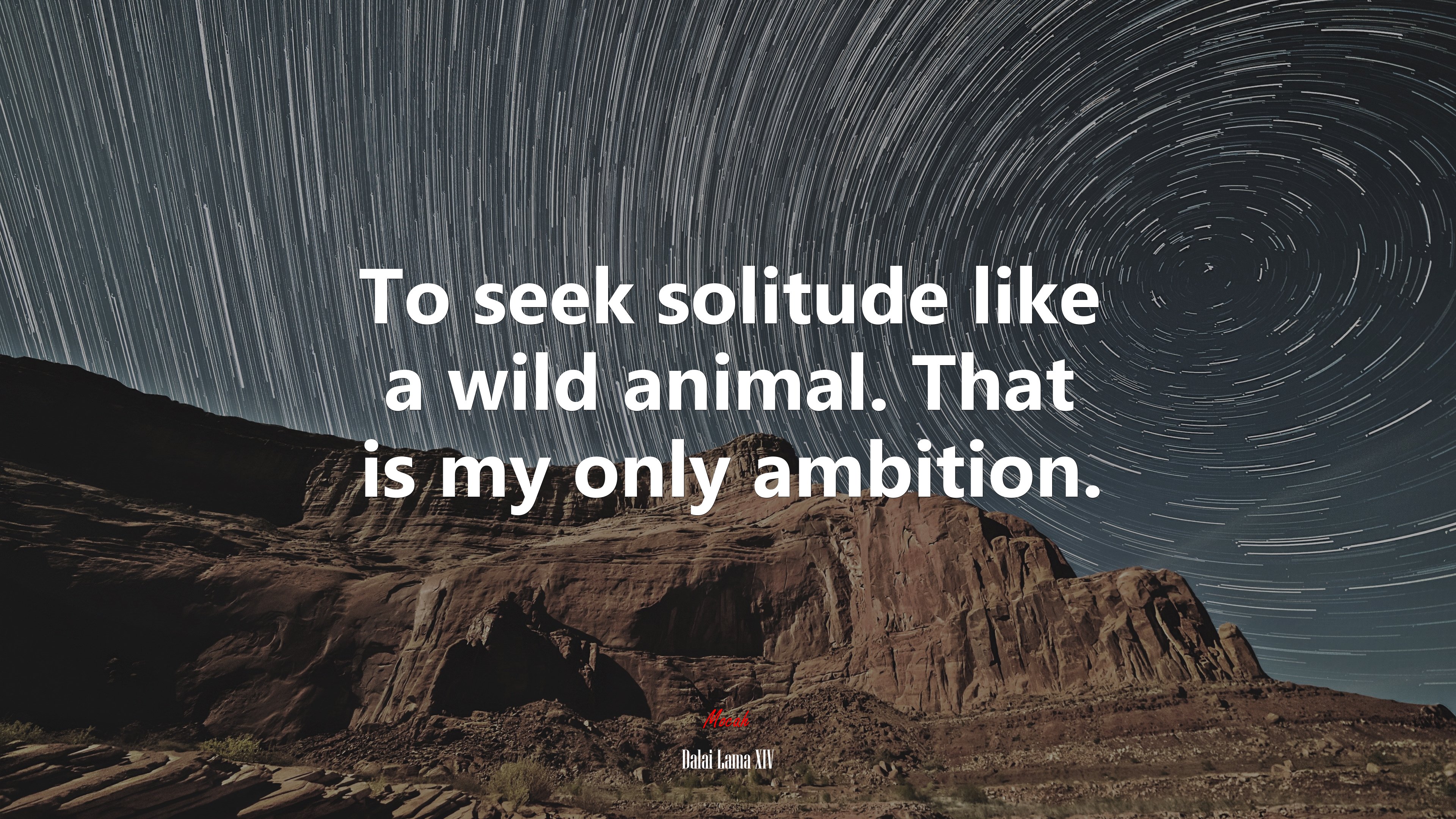To seek solitude like a wild animal. That is my only ambition. | Dalai Lama XIV quote HD Wallpaper