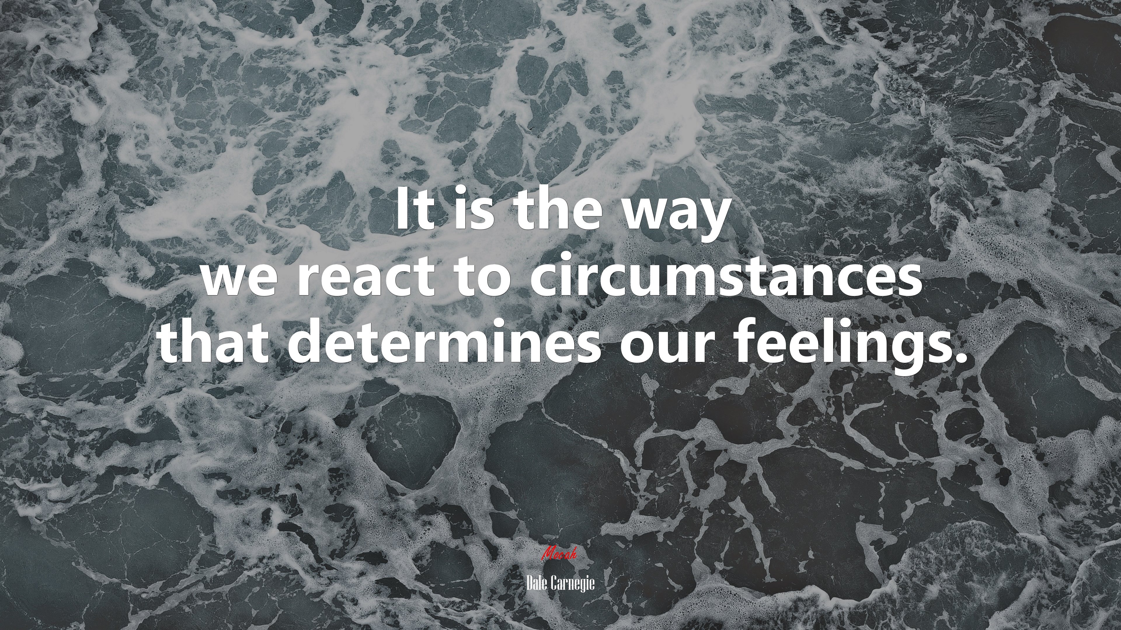 It is the way we react to circumstances that determines our feelings. | Dale Carnegie quote HD Wallpaper