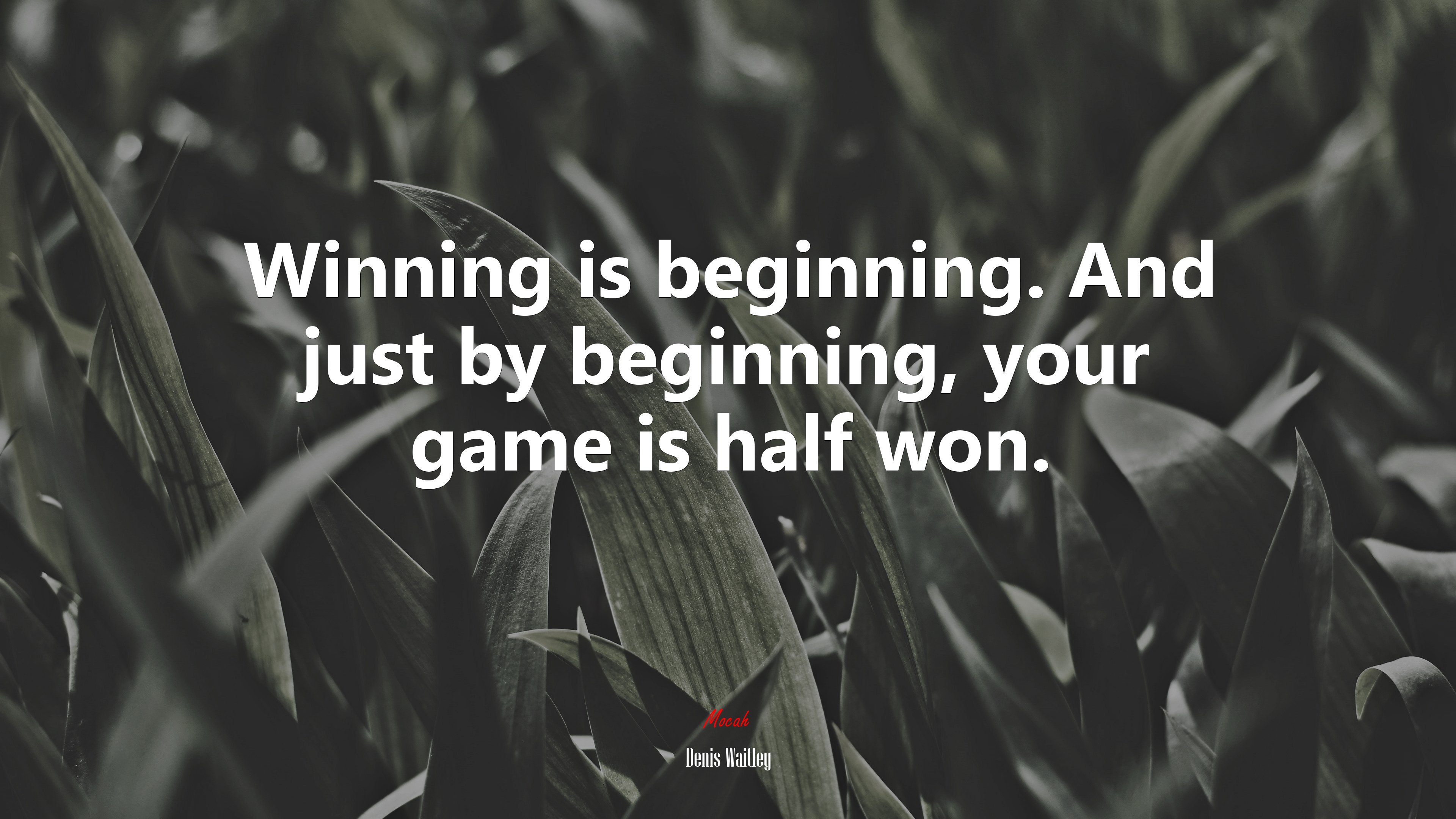 Winning is beginning. And just by beginning, your game is half won. | Denis Waitley quote HD Wallpaper