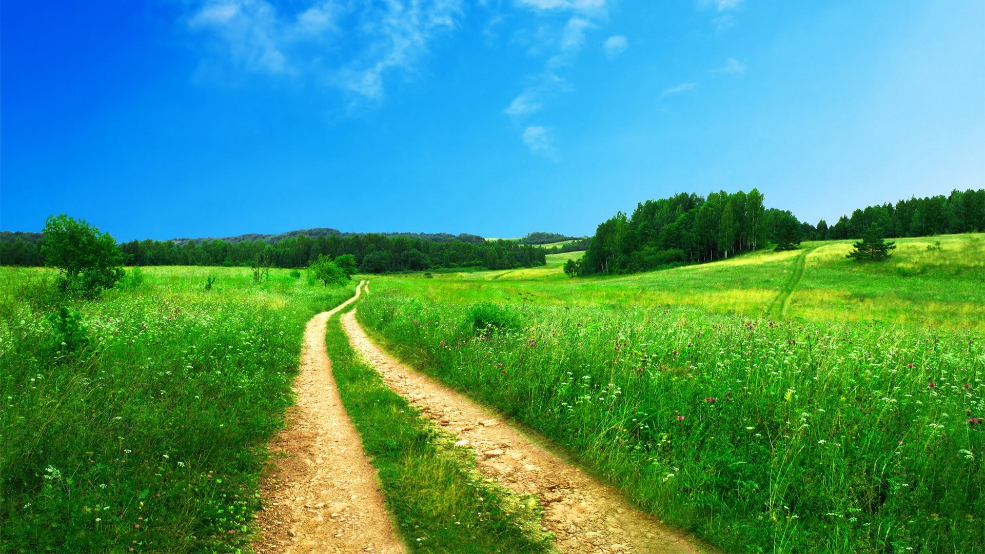 Dirt road through a green meadow under a blue sky HD Wallpaper
