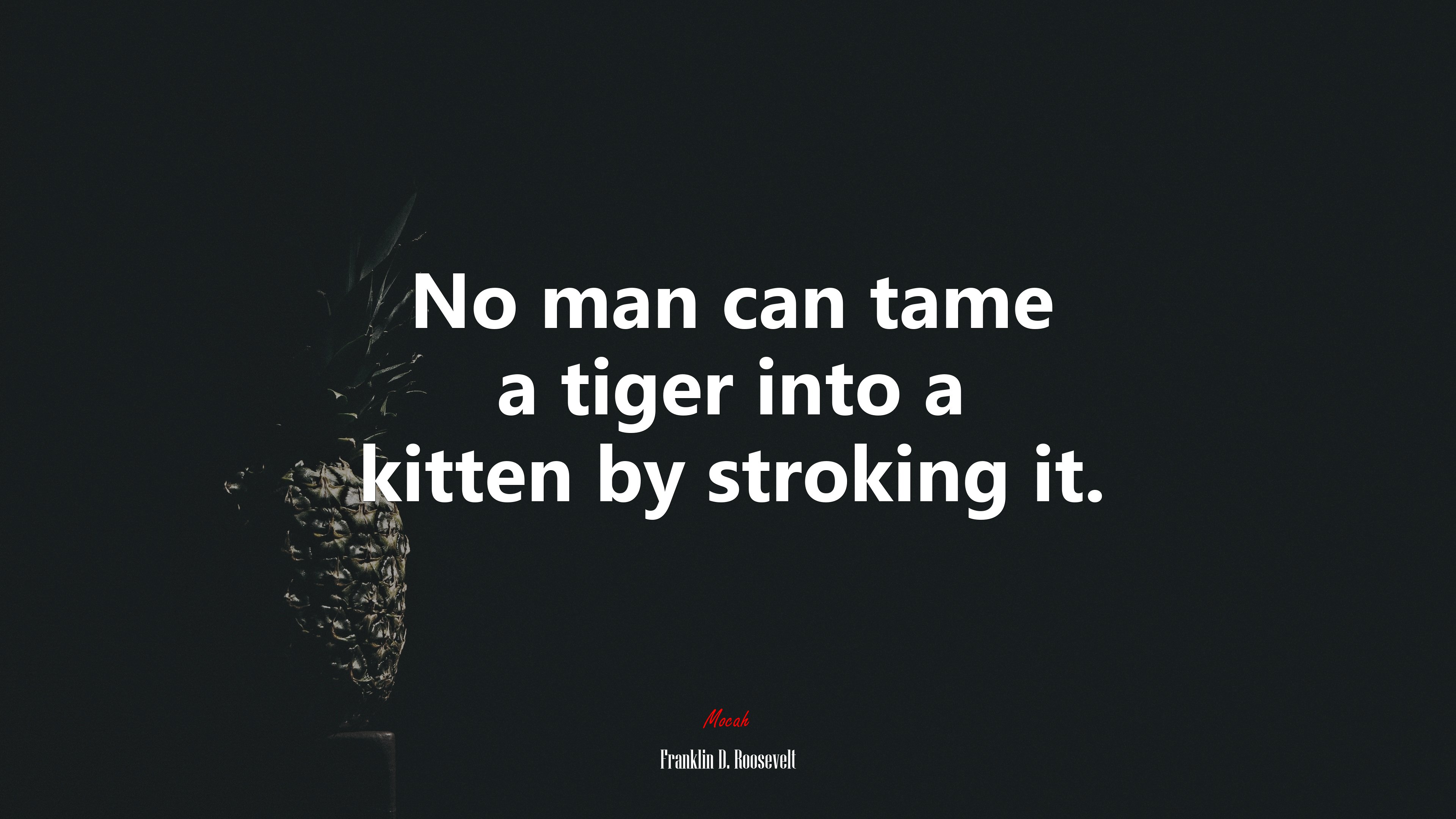 No man can tame a tiger into a kitten by stroking it. | Franklin D. Roosevelt quote HD Wallpaper