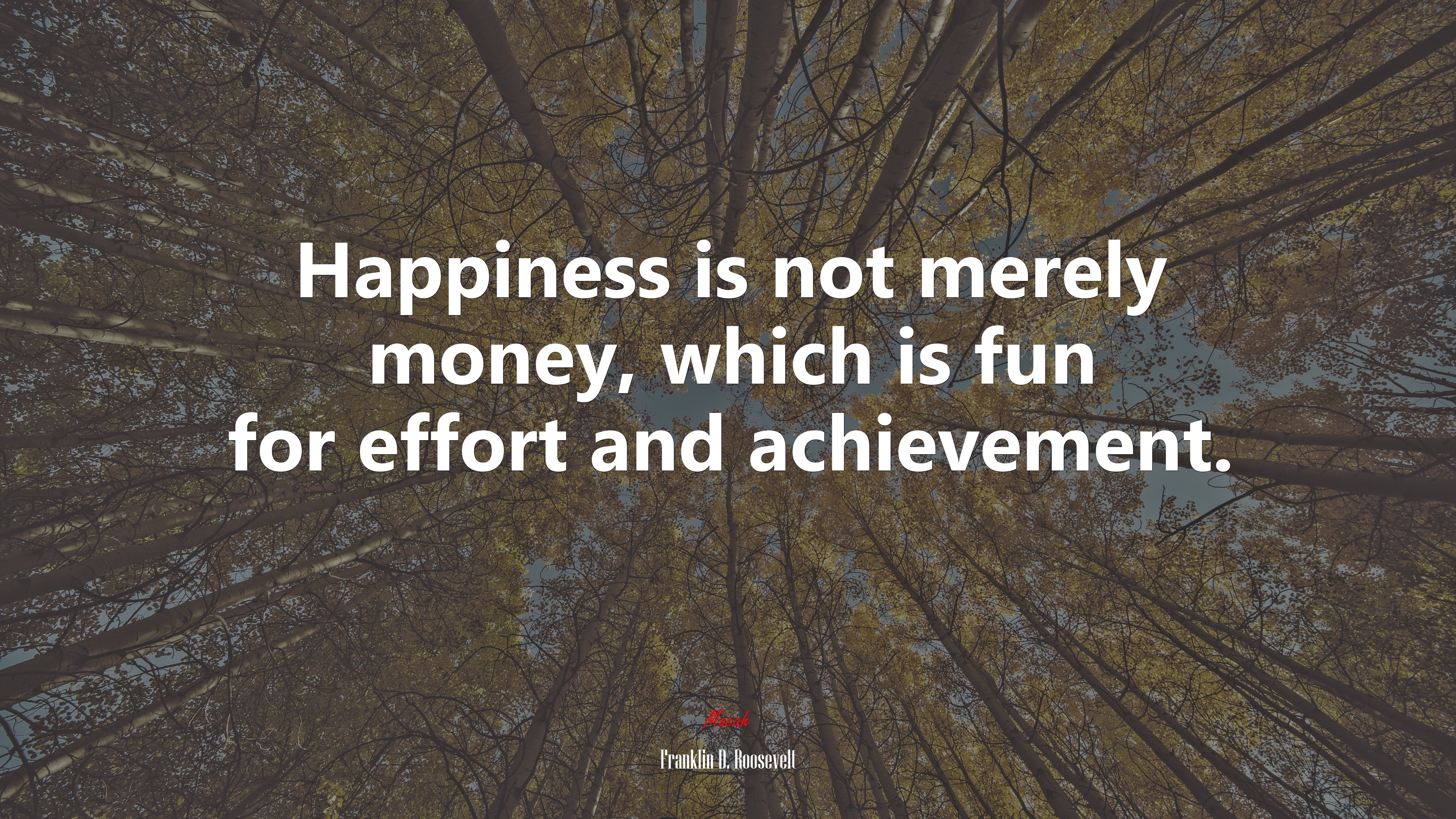 Happiness is not merely money, which is fun for effort and achievement. | Franklin D. Roosevelt quote HD Wallpaper