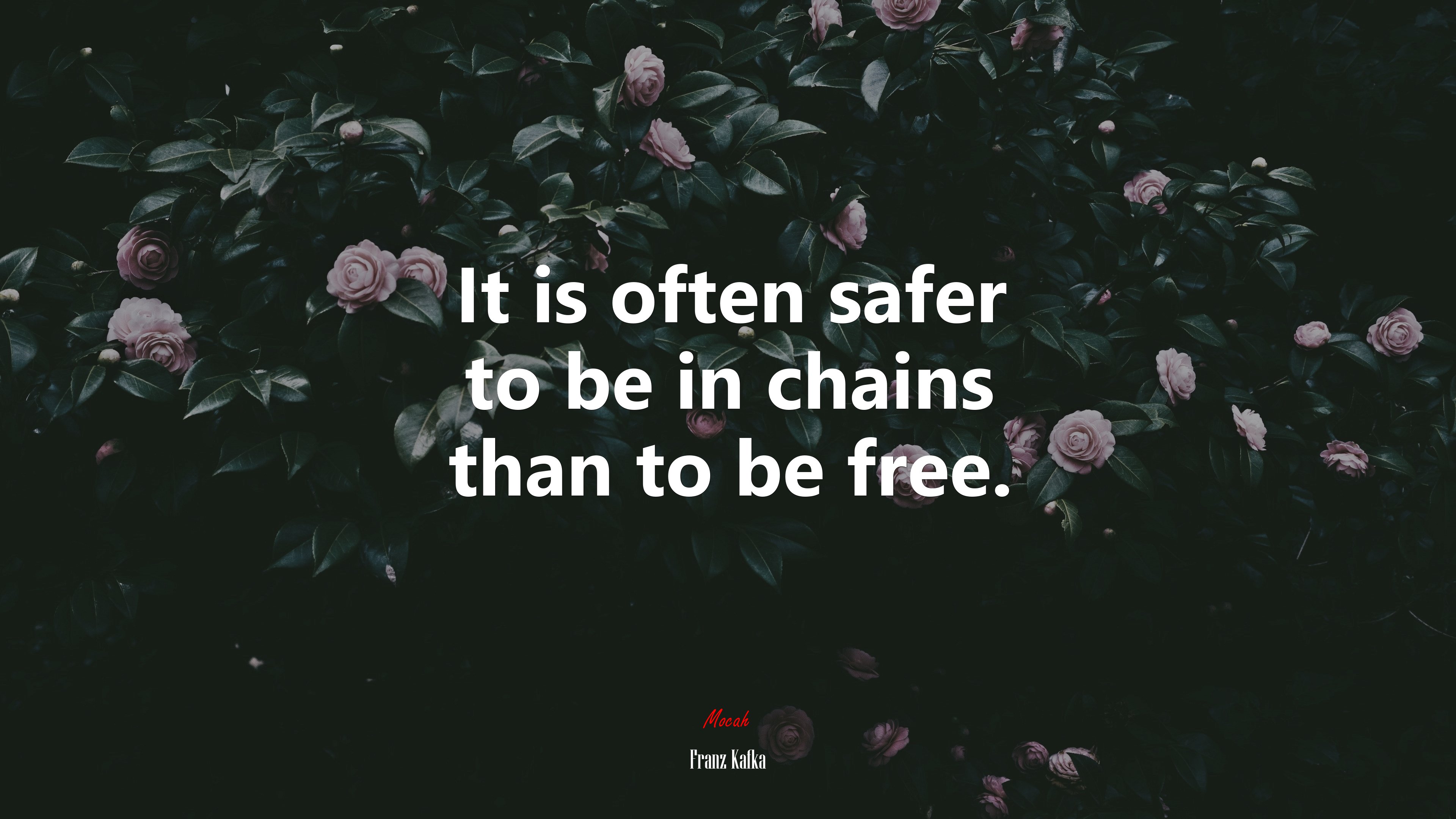 It is often safer to be in chains than to be free. | Franz Kafka quote HD Wallpaper