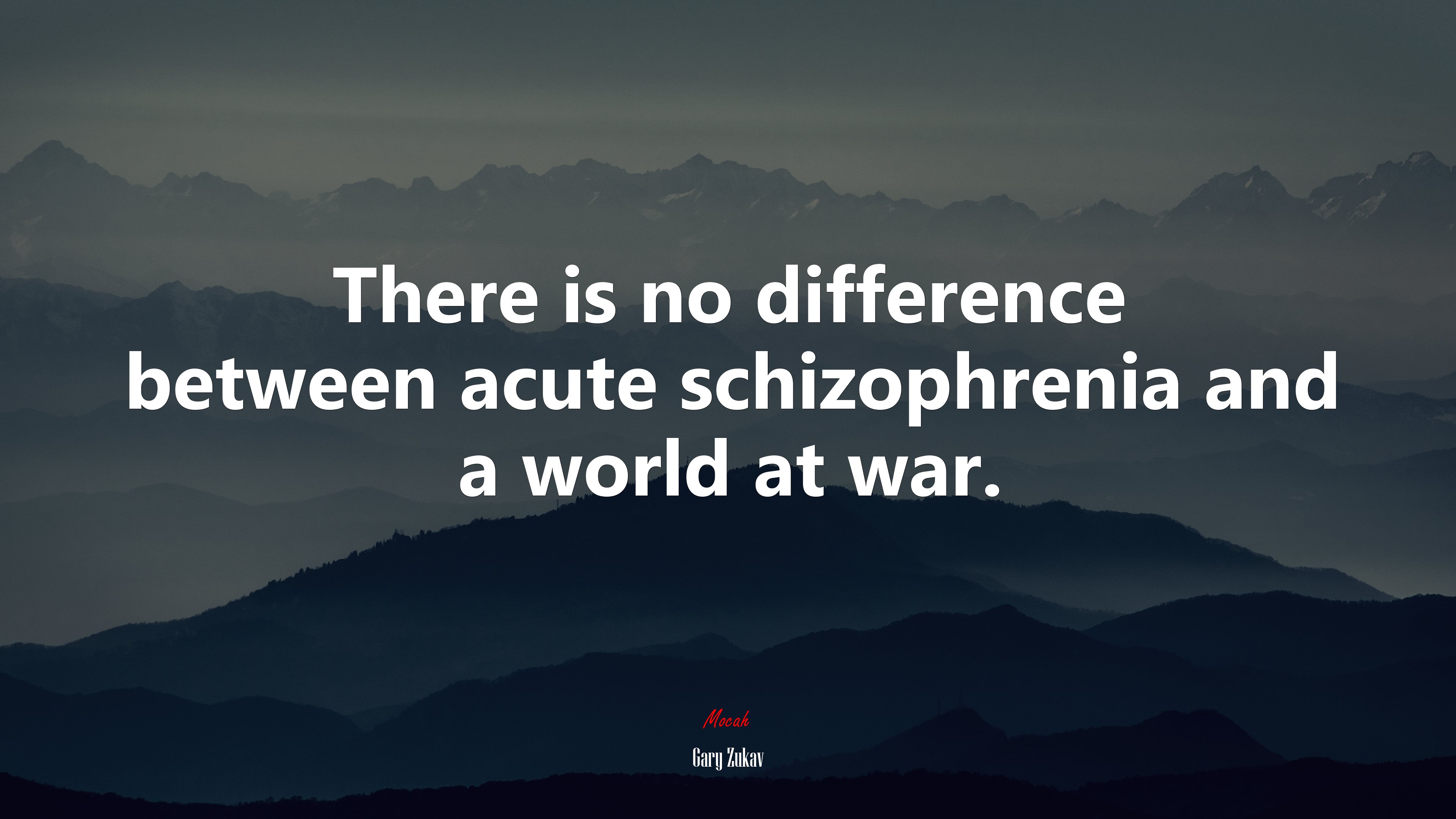 There is no difference between acute schizophrenia and a world at war. | Gary Zukav quote HD Wallpaper