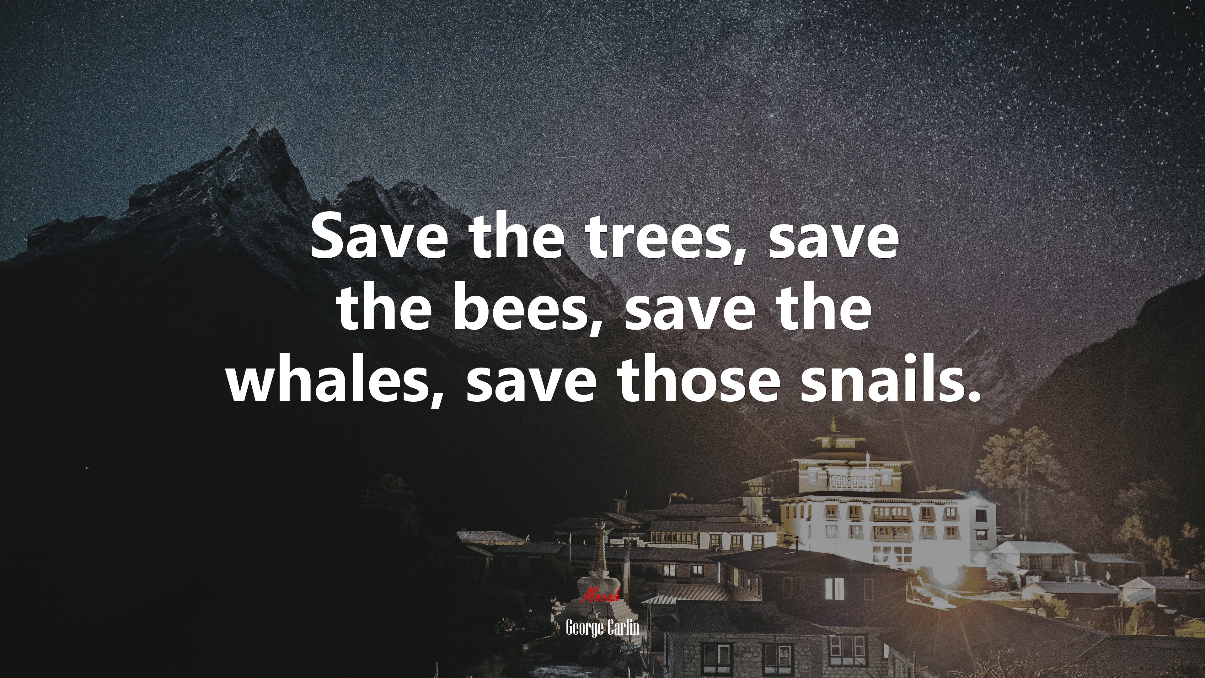 Save the trees, save the bees, save the whales, save those snails. | George Carlin quote HD Wallpaper