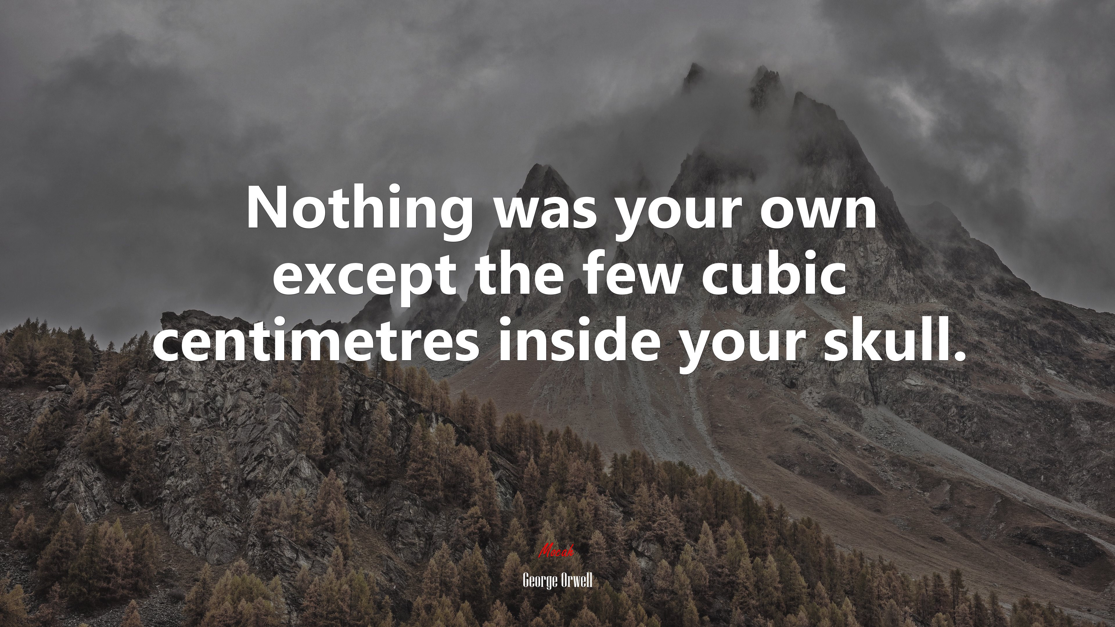 Nothing was your own except the few cubic centimetres inside your skull. | George Orwell quote HD Wallpaper