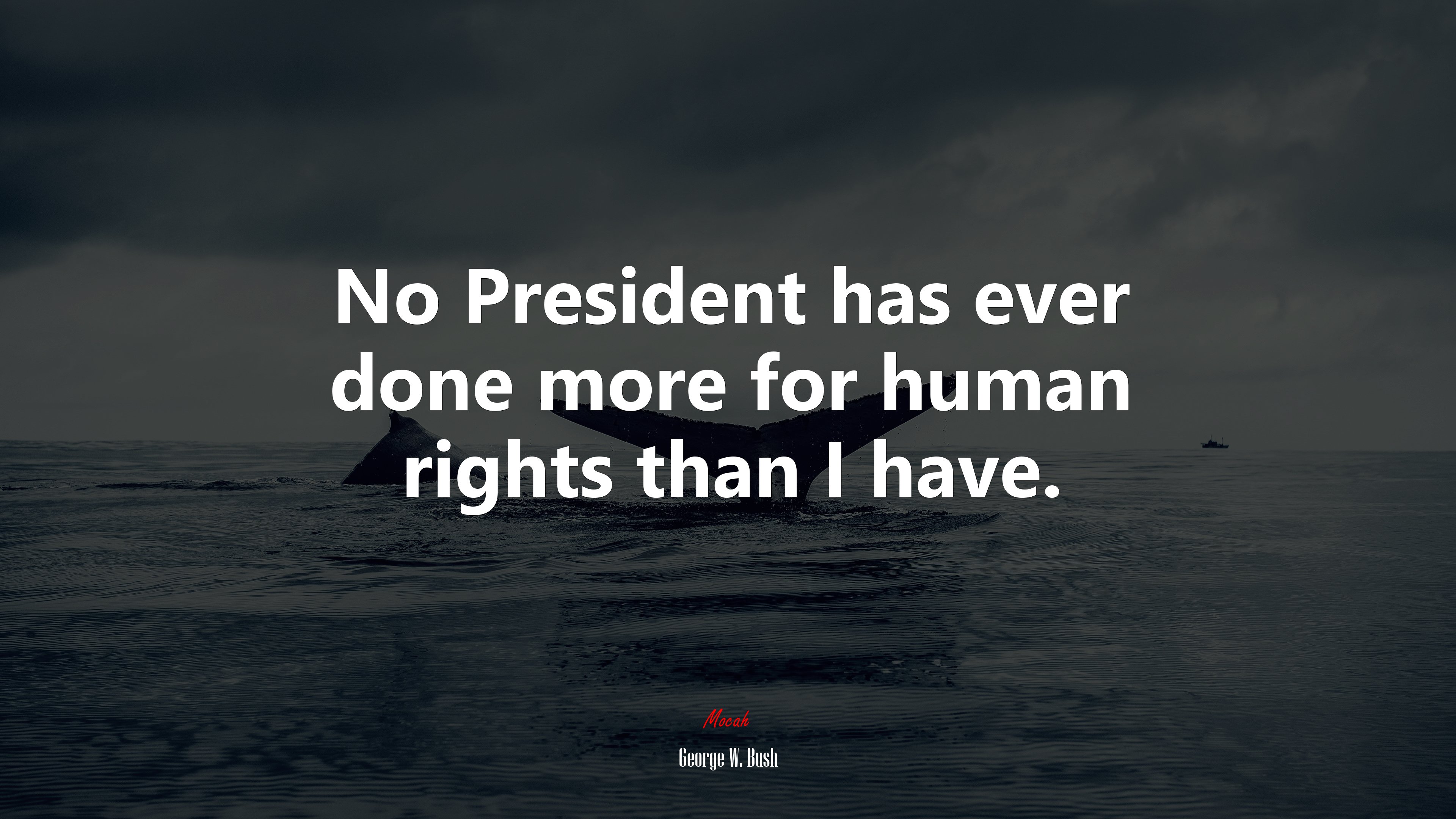No President has ever done more for human rights than I have. | George W. Bush quote HD Wallpaper