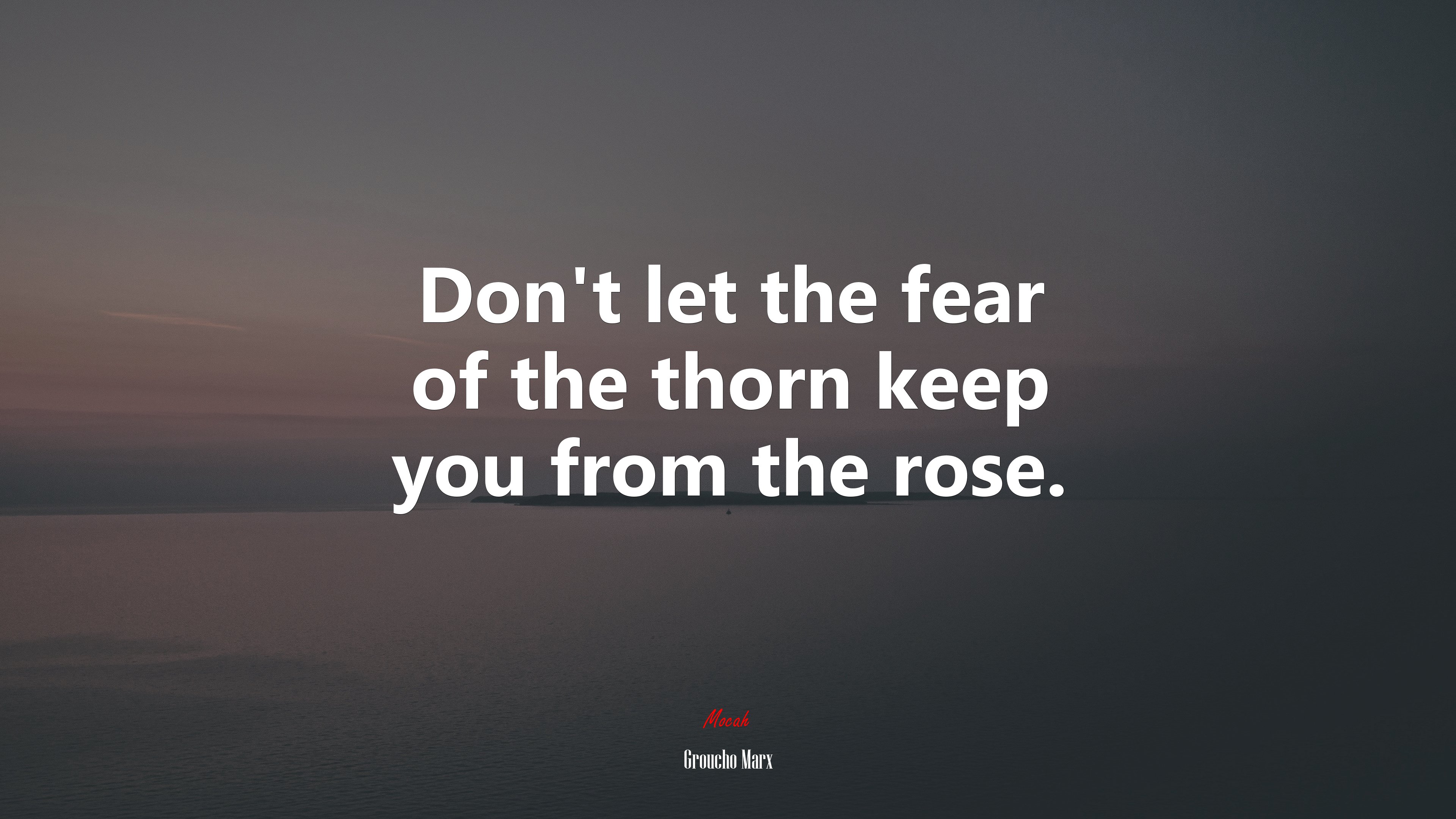 Don’t let the fear of the thorn keep you from the rose. | Groucho Marx quote HD Wallpaper