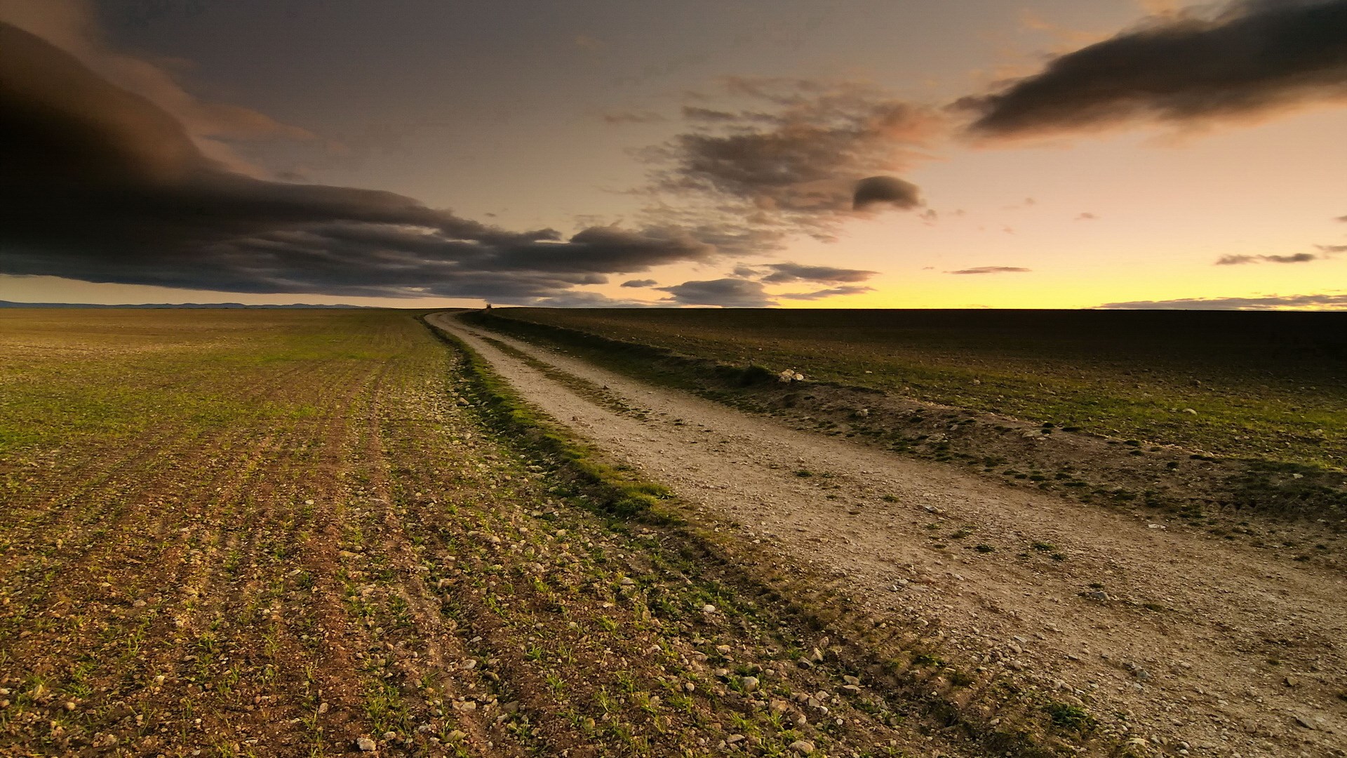 Dirt road through a field at sunset HD Wallpaper